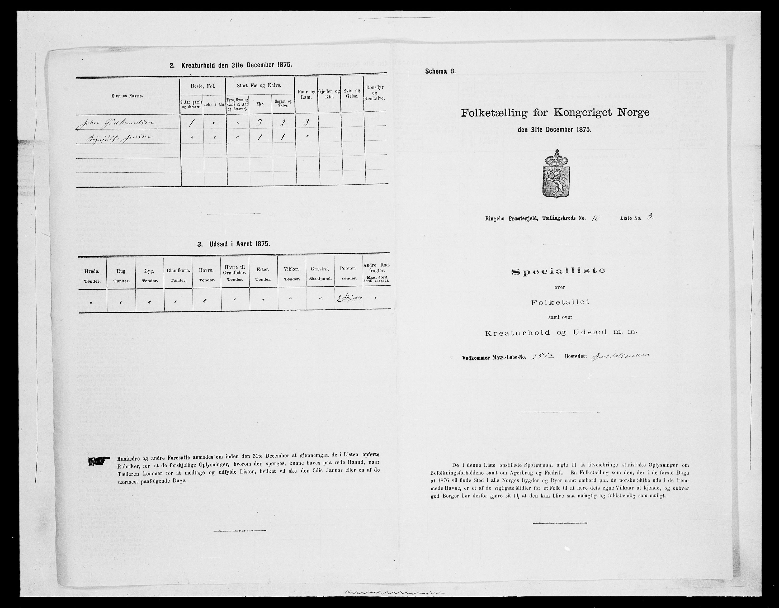 SAH, 1875 census for 0520P Ringebu, 1875, p. 1494