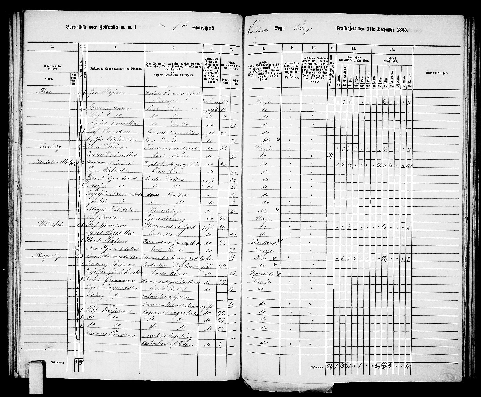 RA, 1865 census for Vinje, 1865, p. 10