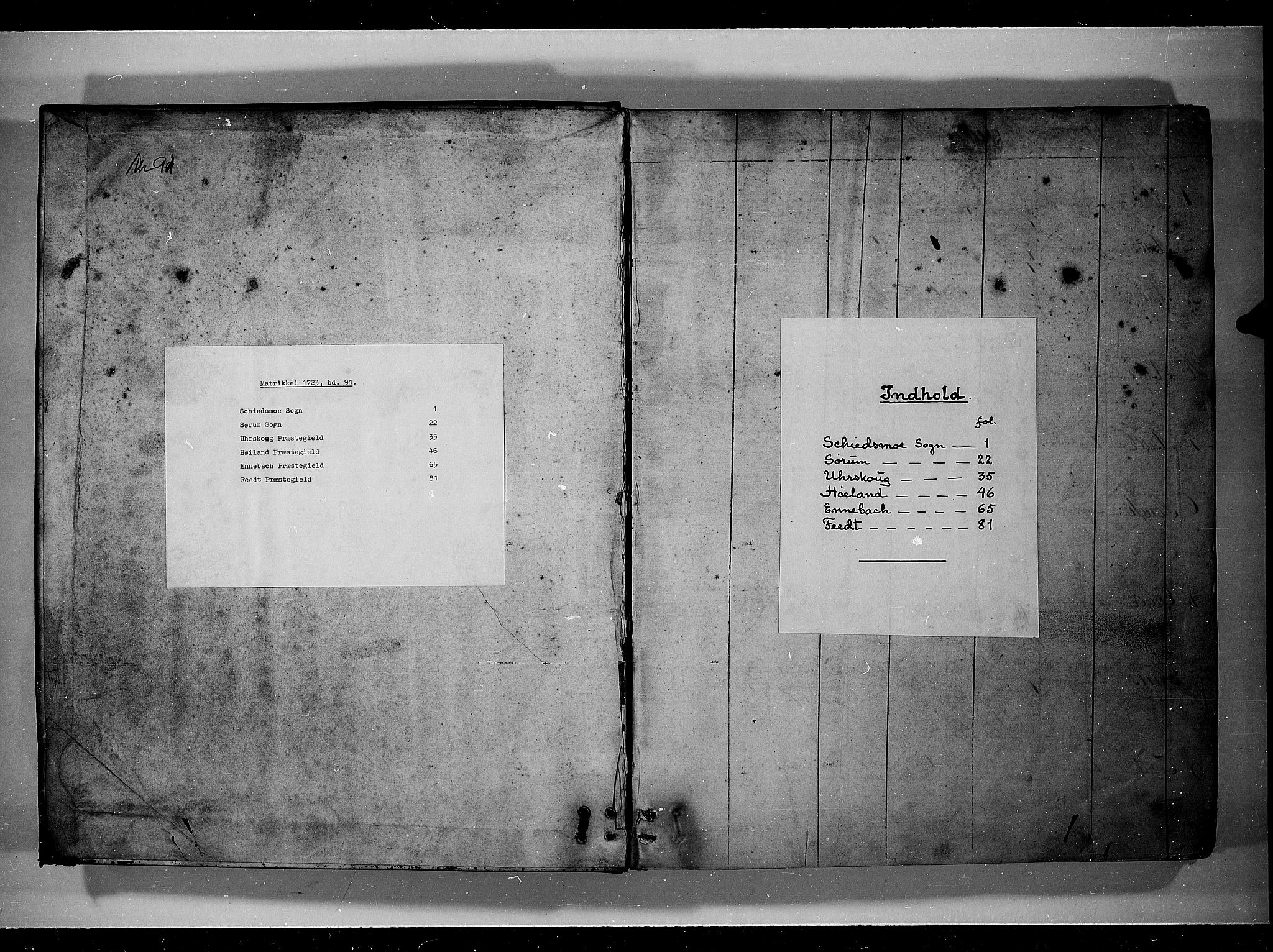 Rentekammeret inntil 1814, Realistisk ordnet avdeling, RA/EA-4070/N/Nb/Nbf/L0091: Nedre Romerike eksaminasjonsprotokoll, 1723