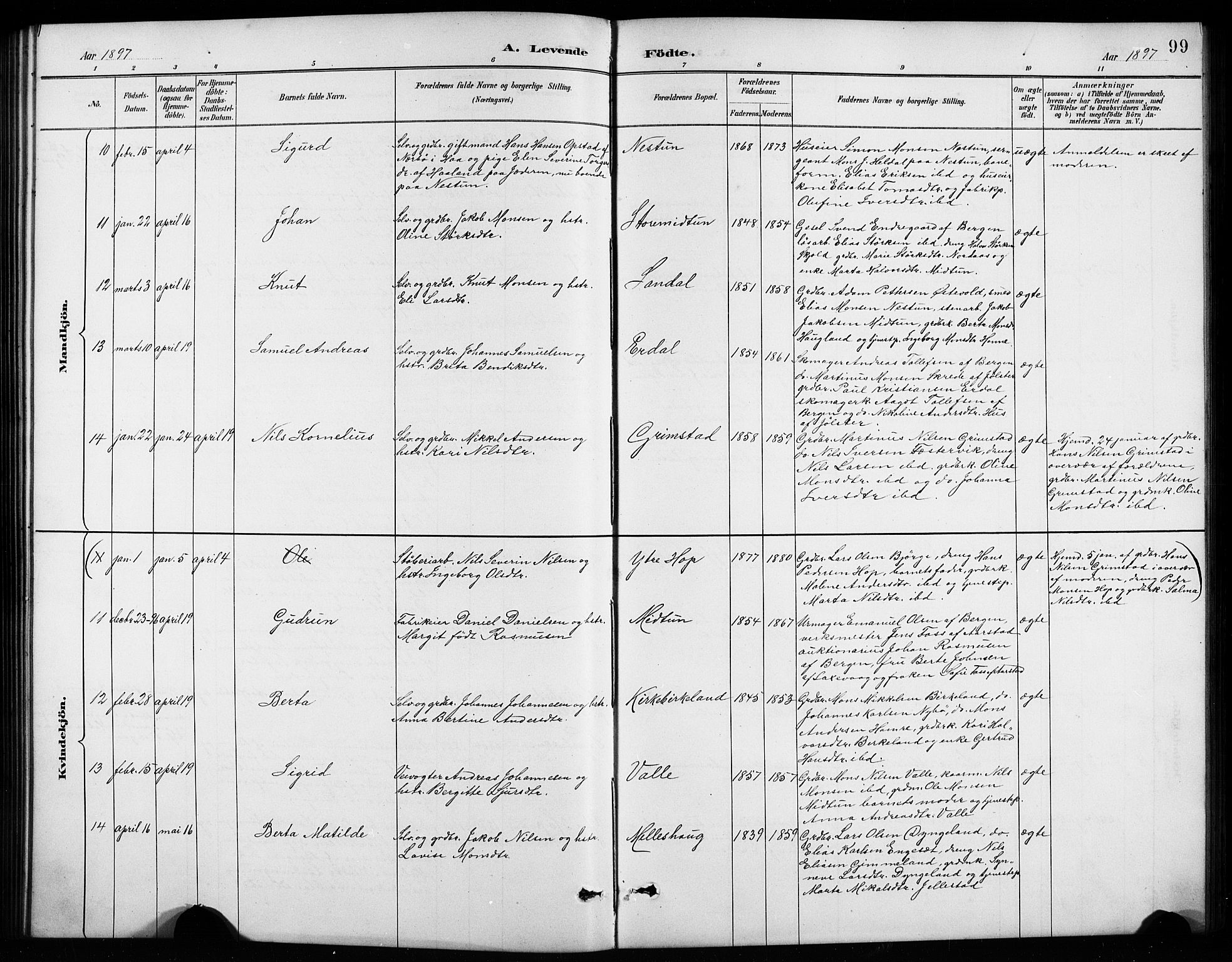 Birkeland Sokneprestembete, AV/SAB-A-74601/H/Hab: Parish register (copy) no. A 4, 1888-1897, p. 99