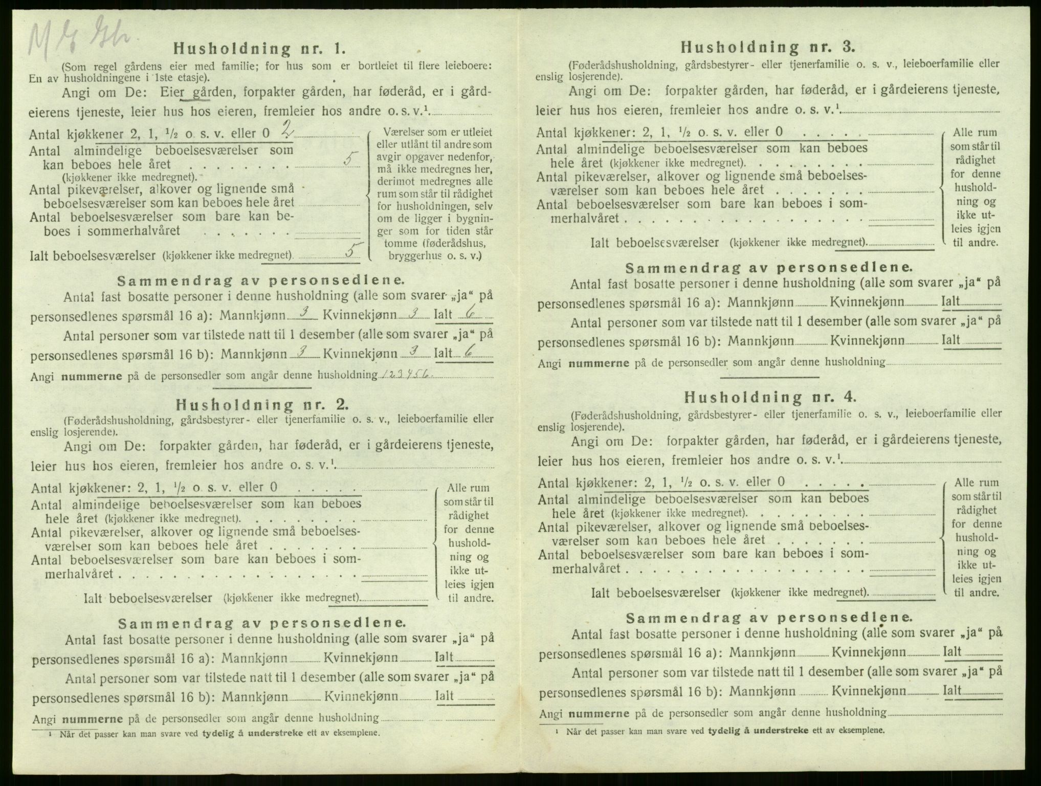 SAKO, 1920 census for Våle, 1920, p. 207