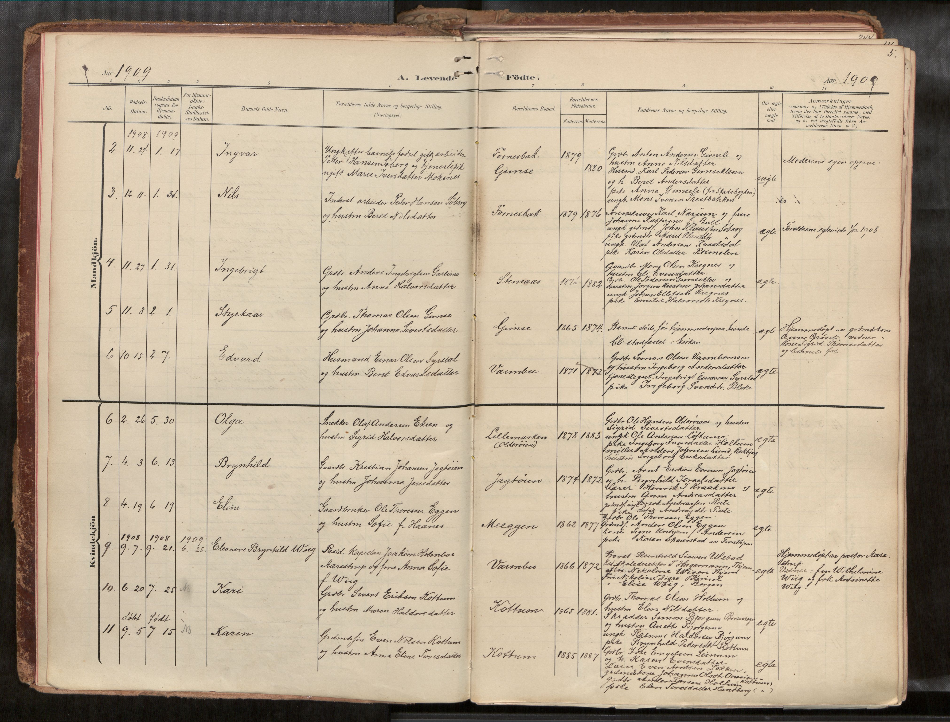 Ministerialprotokoller, klokkerbøker og fødselsregistre - Sør-Trøndelag, SAT/A-1456/691/L1085b: Parish register (official) no. 691A18, 1908-1930, p. 5