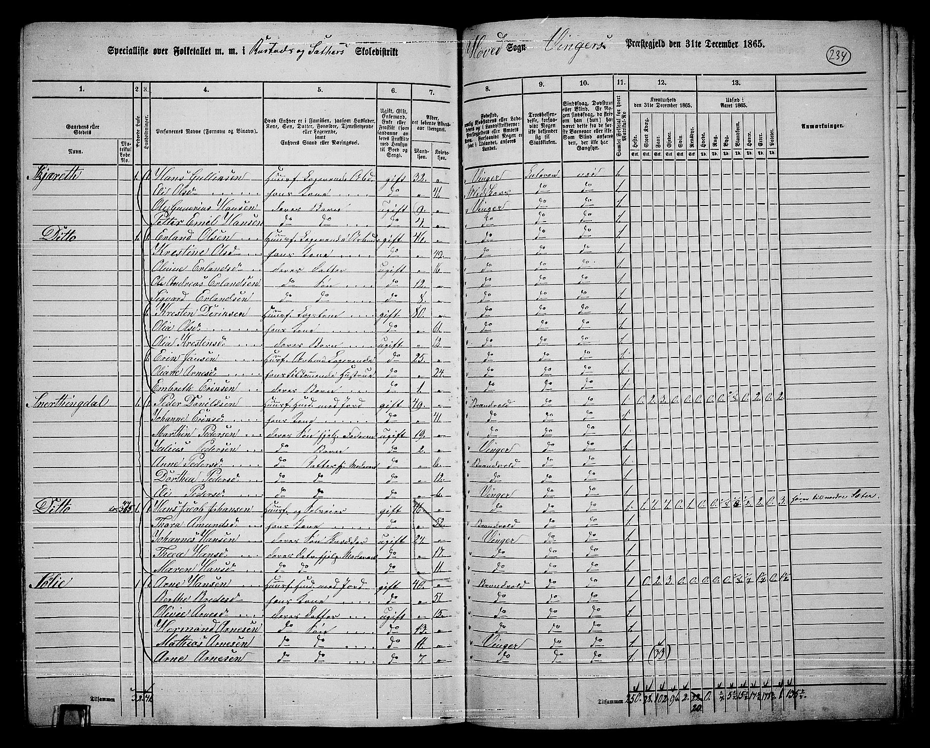 RA, 1865 census for Vinger/Vinger og Austmarka, 1865, p. 214