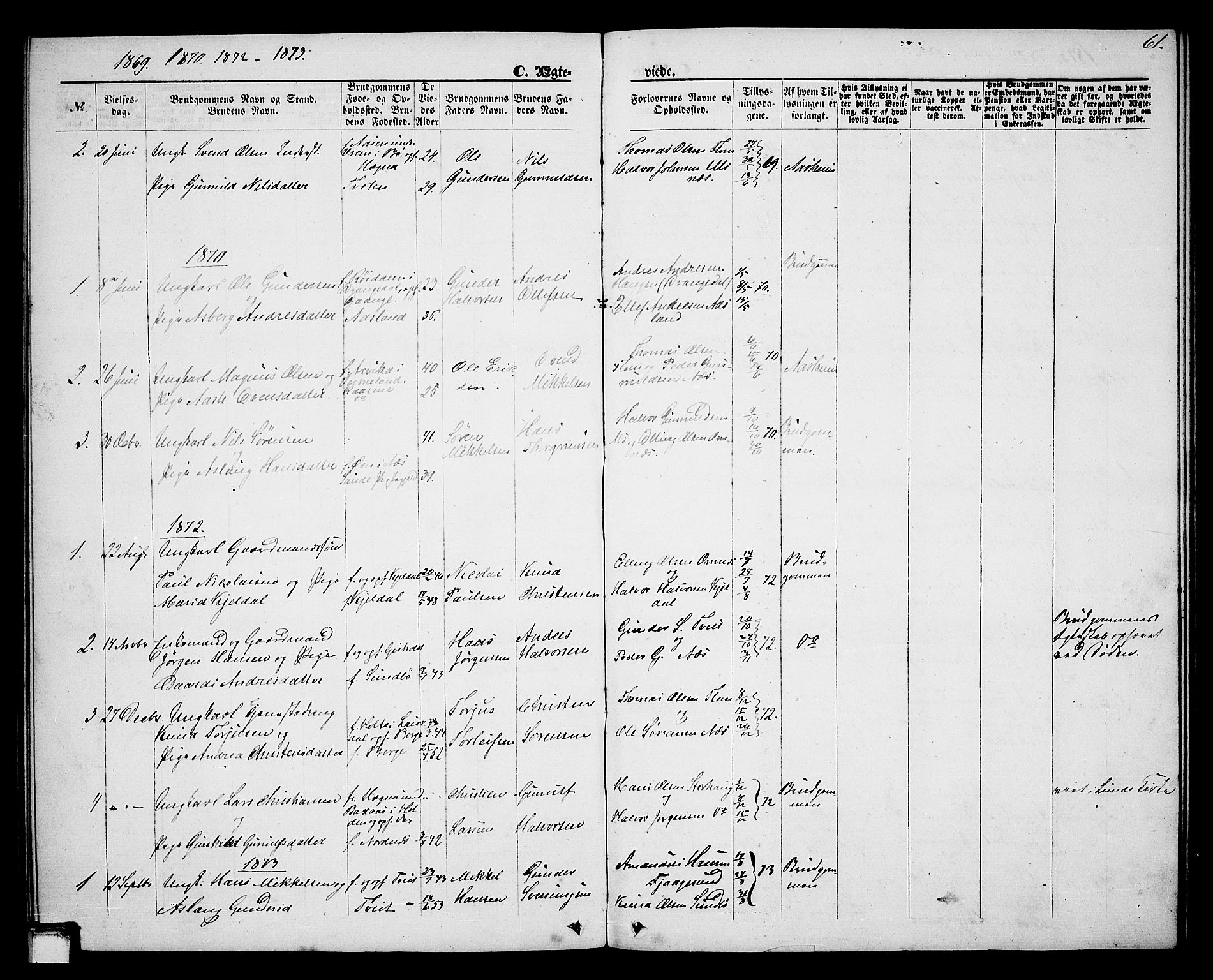 Lunde kirkebøker, SAKO/A-282/G/Gb/L0001: Parish register (copy) no. II 1, 1866-1887, p. 61