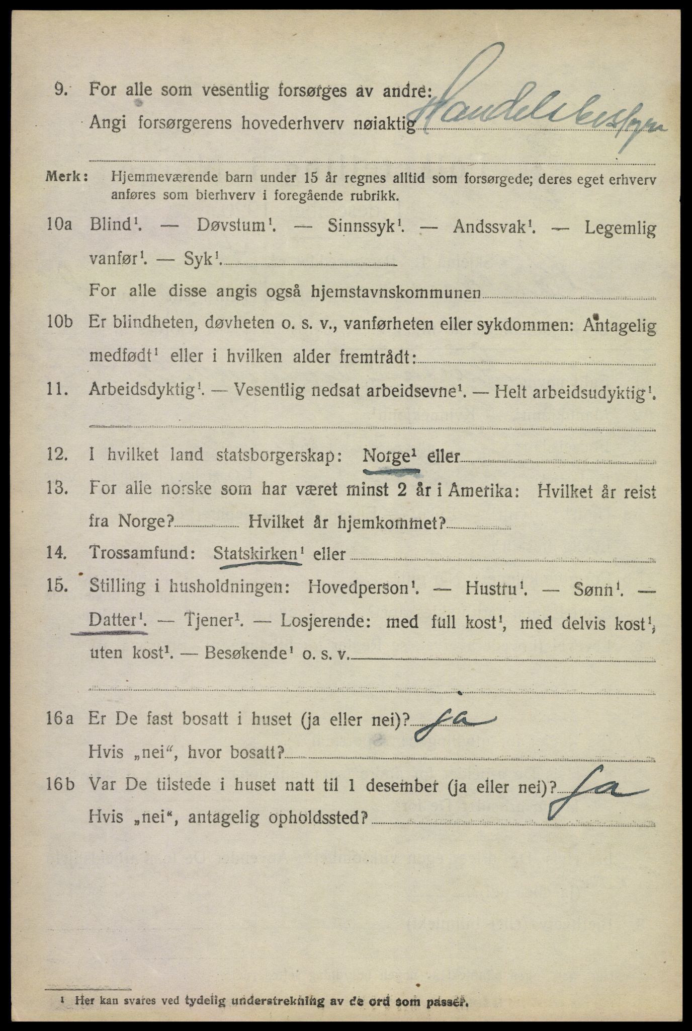 SAKO, 1920 census for Rauland, 1920, p. 1009