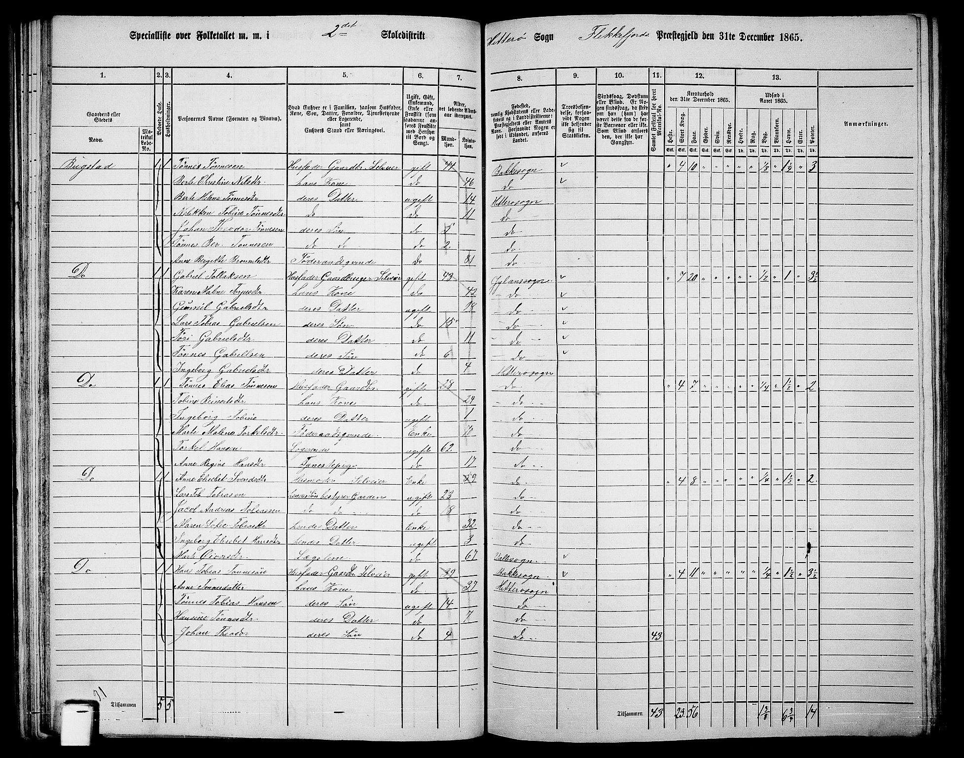 RA, 1865 census for Flekkefjord/Nes og Hidra, 1865, p. 52