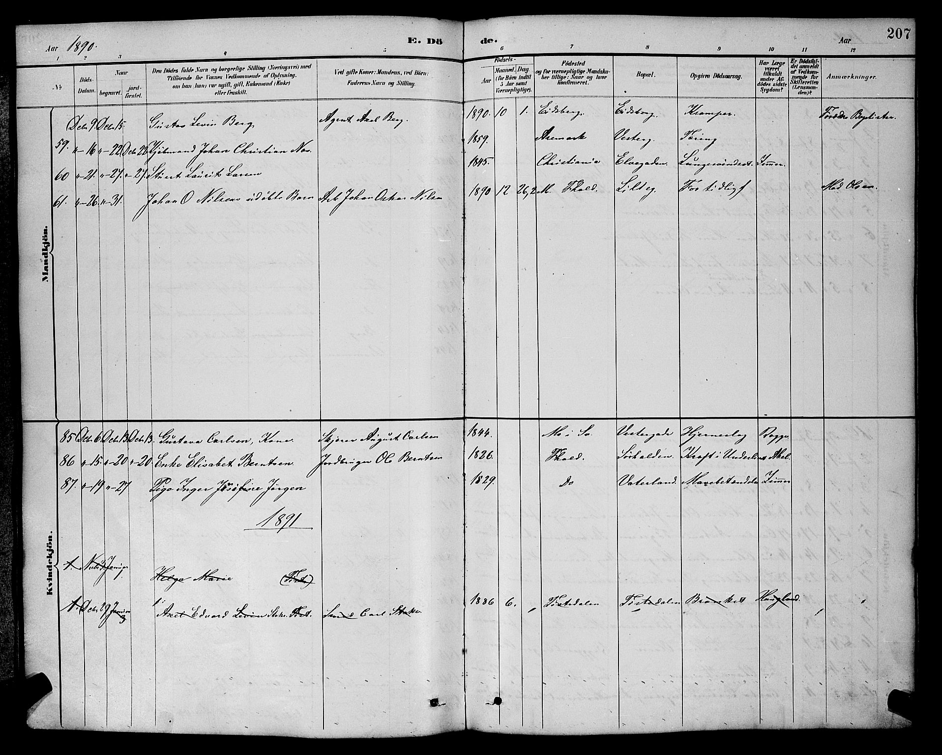 Halden prestekontor Kirkebøker, AV/SAO-A-10909/G/Ga/L0009: Parish register (copy) no. 9, 1885-1908, p. 207