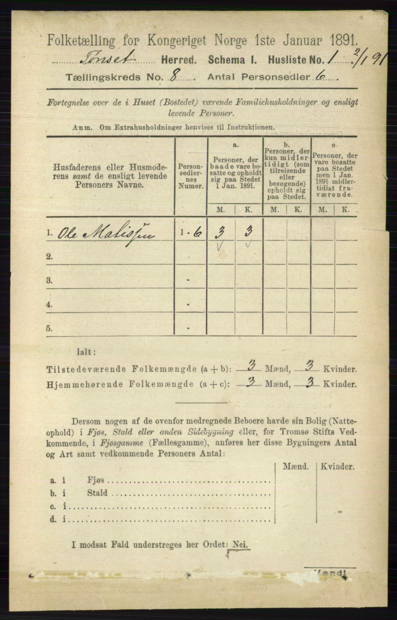 RA, 1891 census for 0437 Tynset, 1891, p. 2032