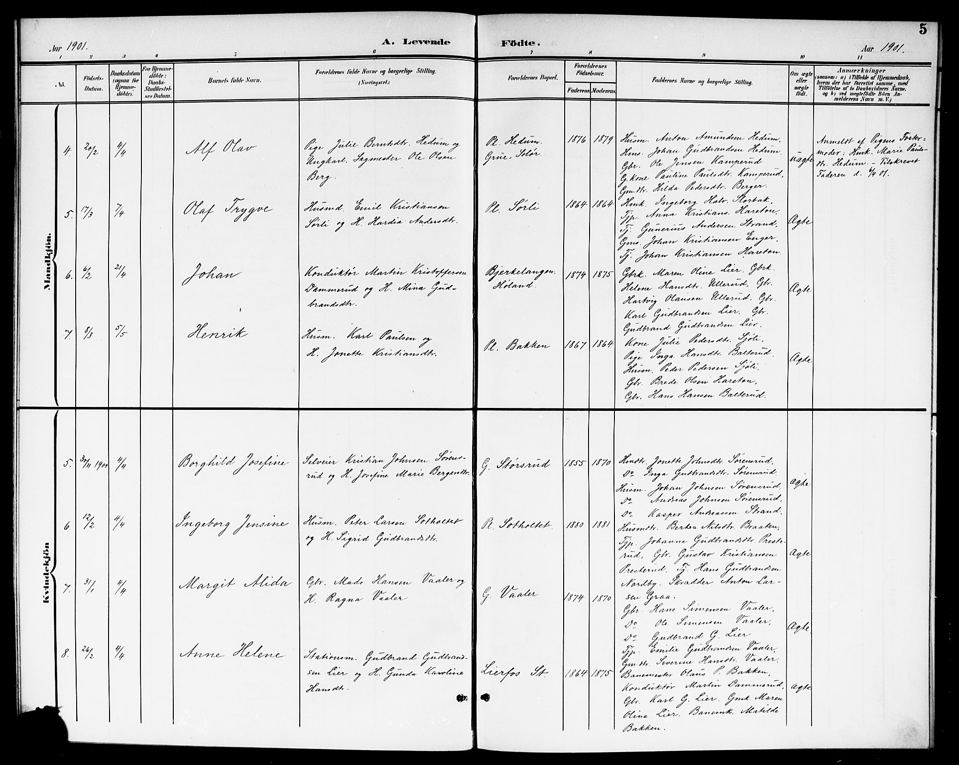 Aurskog prestekontor Kirkebøker, AV/SAO-A-10304a/G/Ga/L0004: Parish register (copy) no. I 4, 1901-1921, p. 5