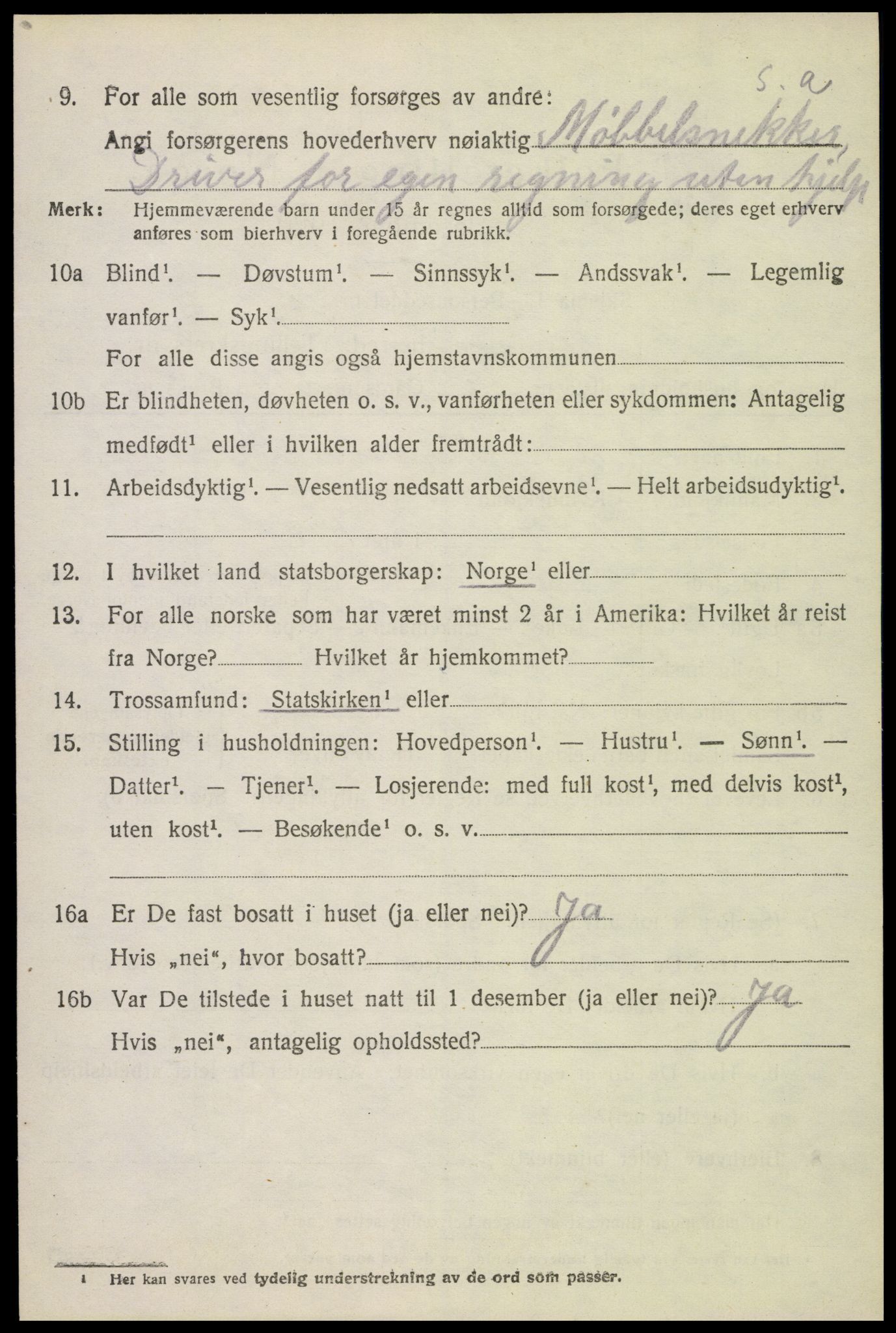 SAH, 1920 census for Furnes, 1920, p. 1816