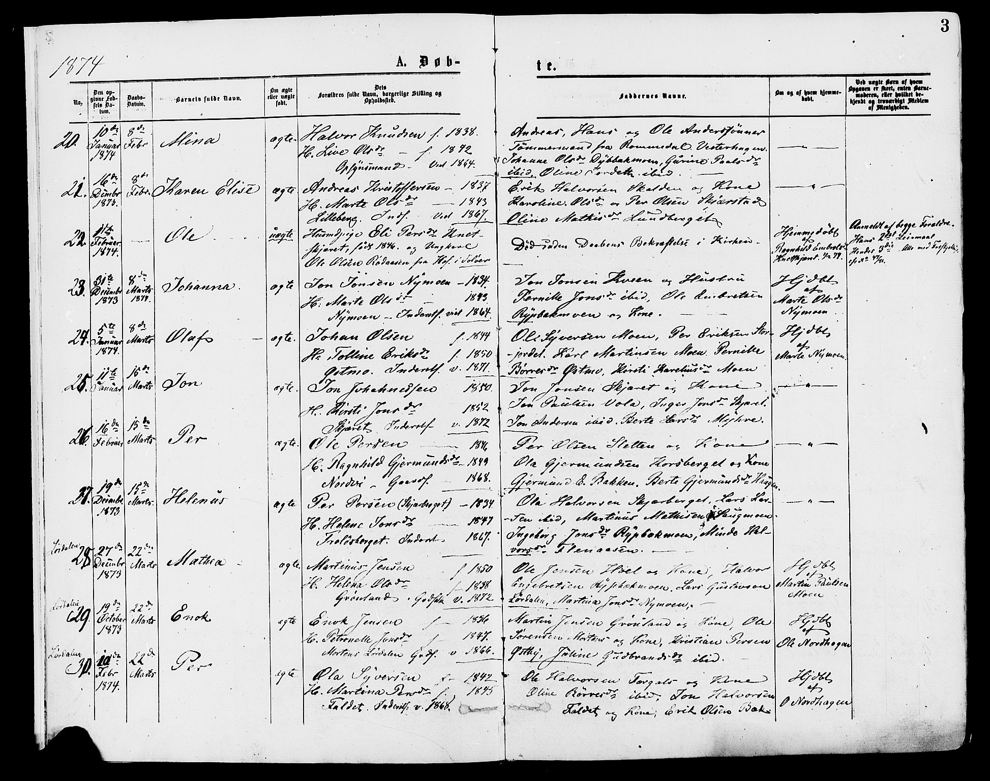 Trysil prestekontor, AV/SAH-PREST-046/H/Ha/Haa/L0007: Parish register (official) no. 7, 1874-1880, p. 3