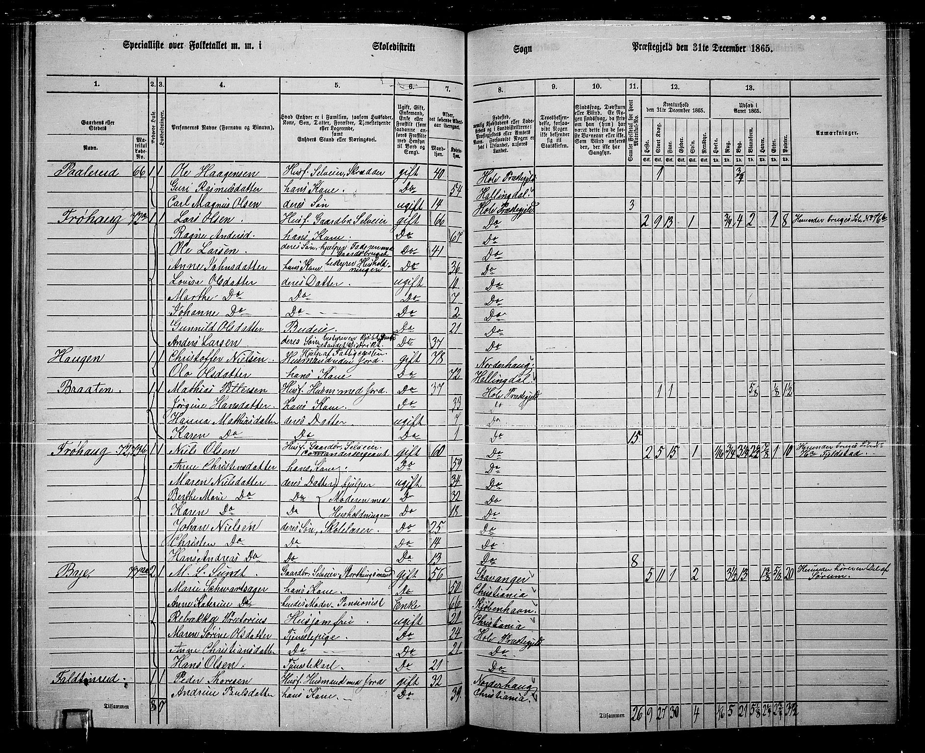 RA, 1865 census for Hole, 1865, p. 98