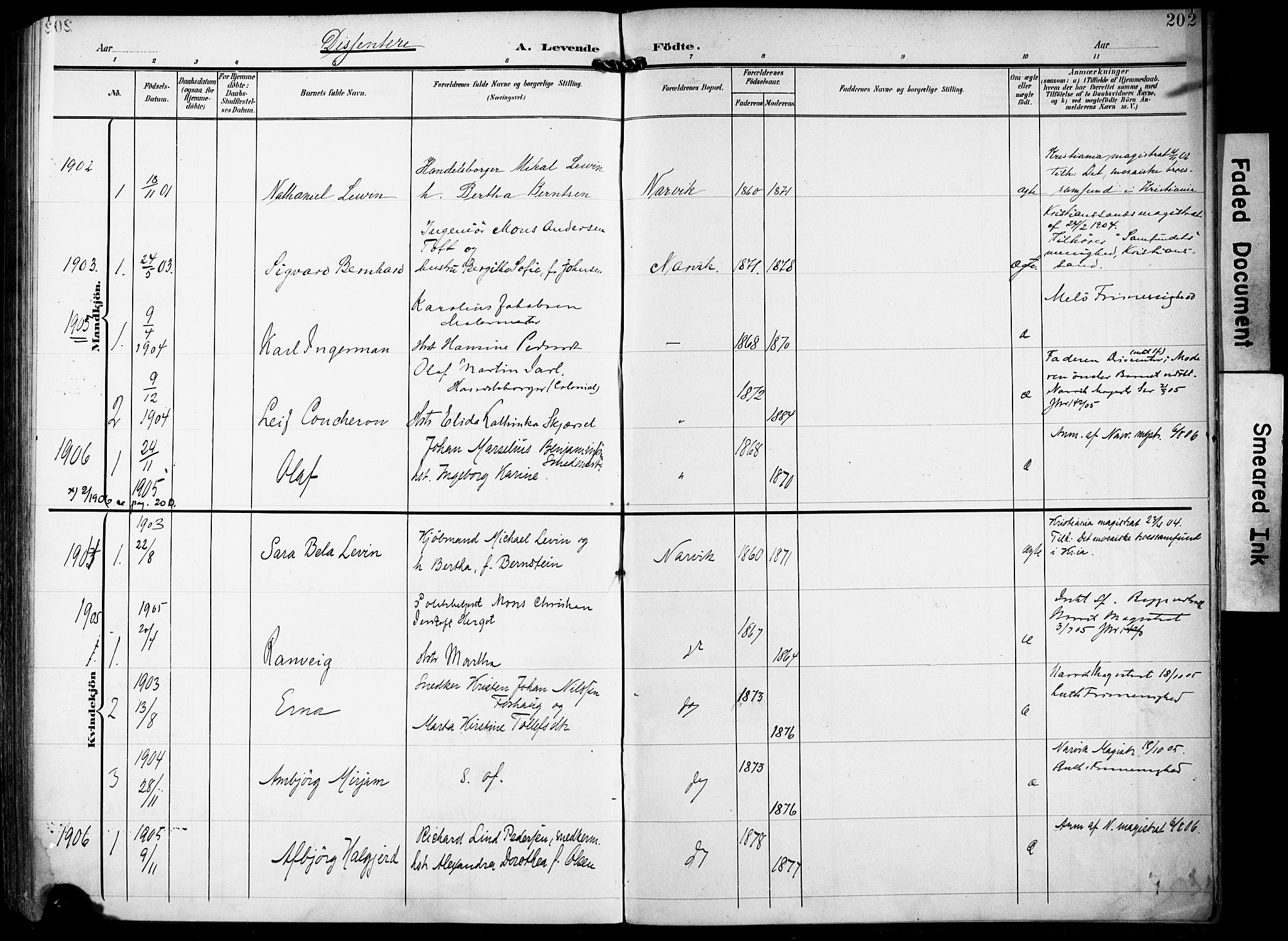 Ministerialprotokoller, klokkerbøker og fødselsregistre - Nordland, AV/SAT-A-1459/871/L0994: Parish register (official) no. 871A10, 1902-1910, p. 202