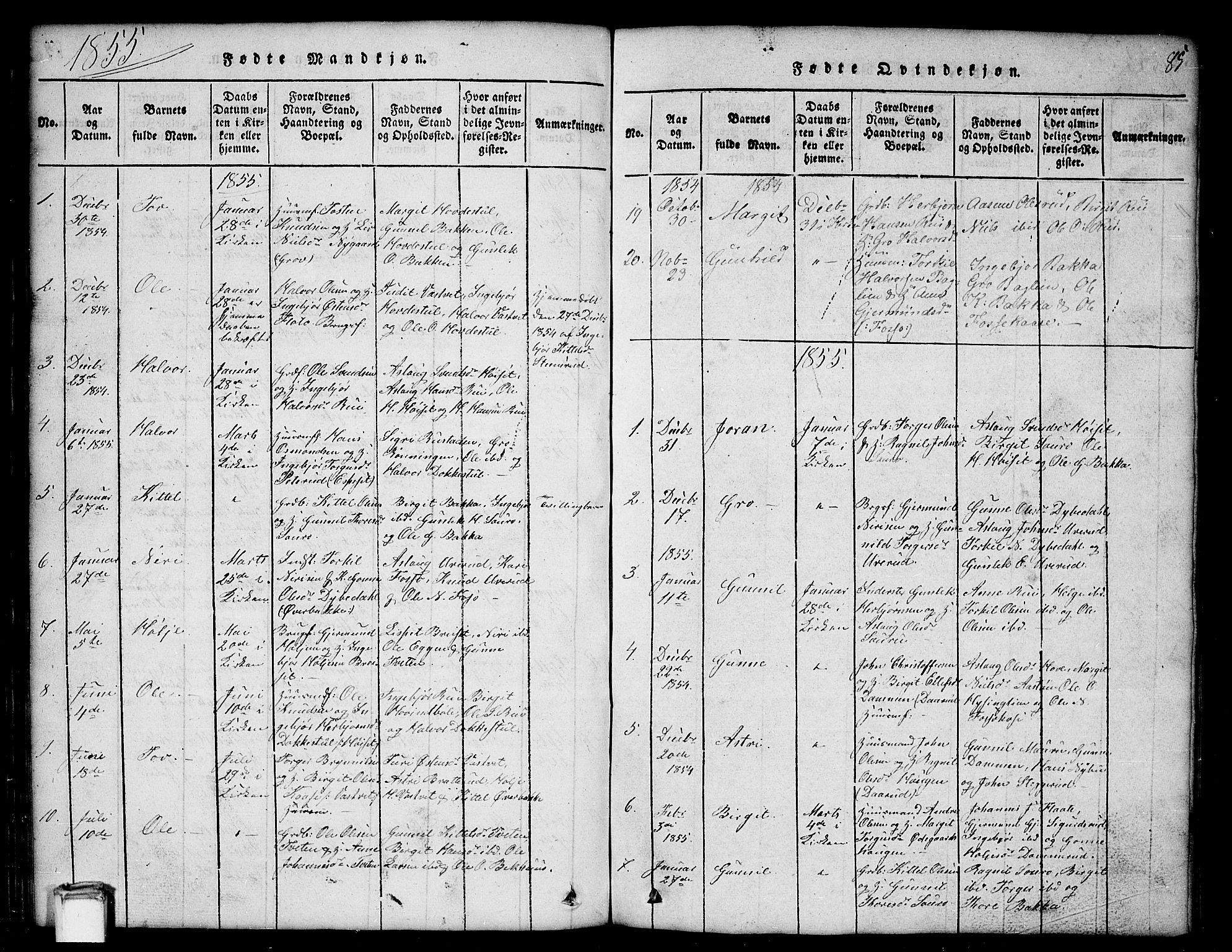 Gransherad kirkebøker, SAKO/A-267/G/Gb/L0001: Parish register (copy) no. II 1, 1815-1860, p. 85