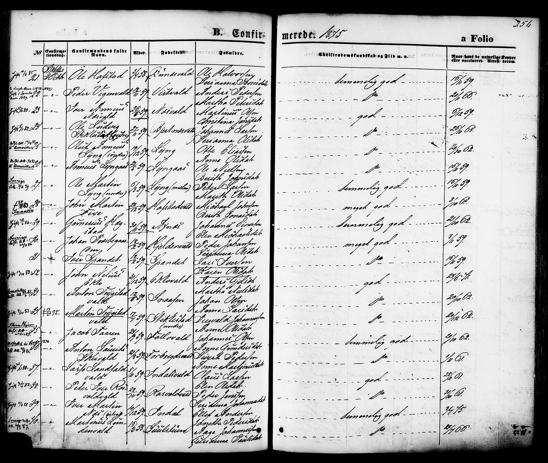 Ministerialprotokoller, klokkerbøker og fødselsregistre - Nord-Trøndelag, AV/SAT-A-1458/723/L0242: Parish register (official) no. 723A11, 1870-1880, p. 256