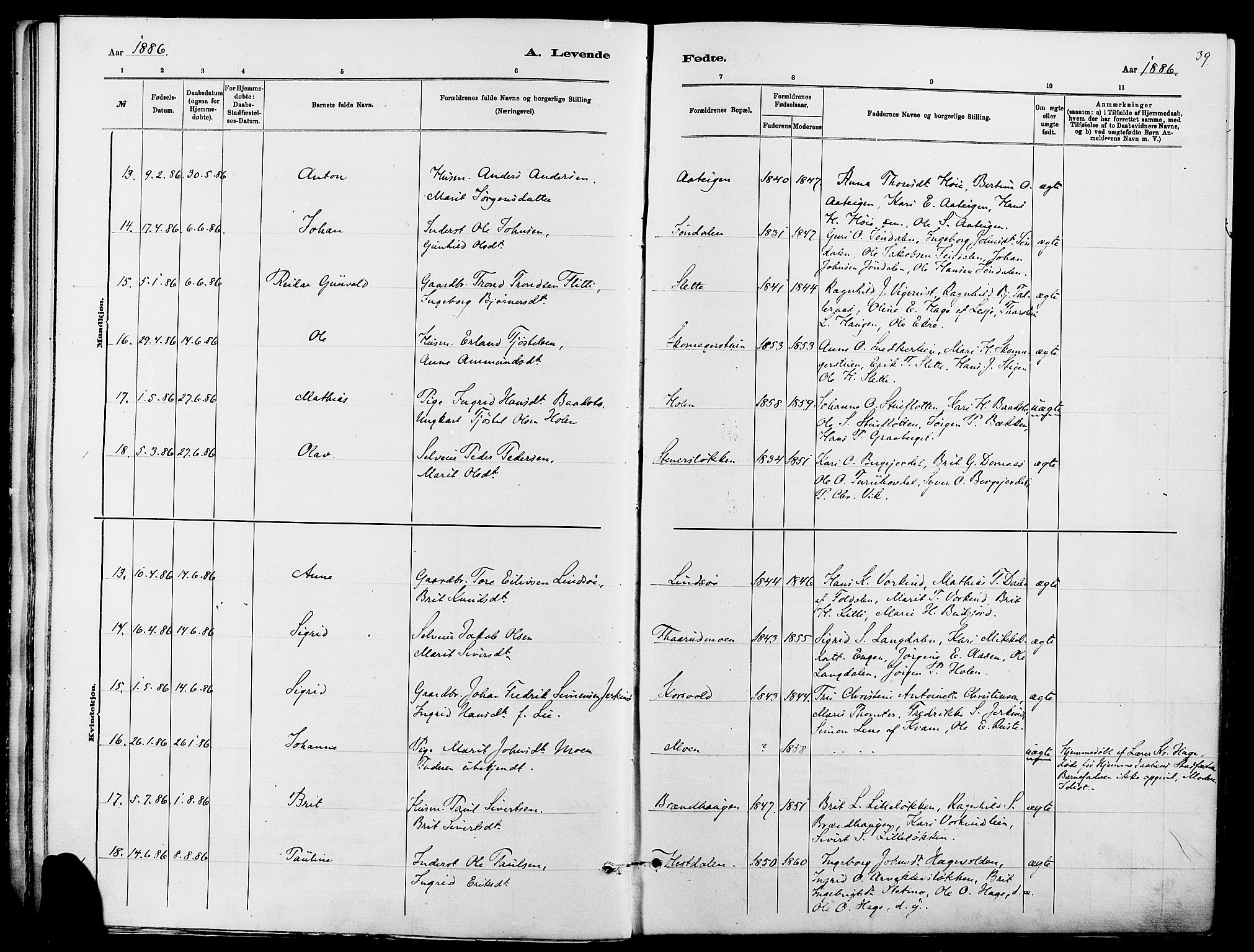 Dovre prestekontor, AV/SAH-PREST-066/H/Ha/Haa/L0002: Parish register (official) no. 2, 1879-1890, p. 39