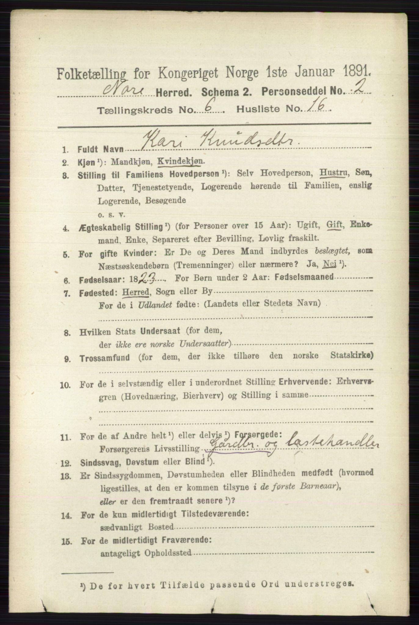 RA, 1891 census for 0633 Nore, 1891, p. 2083