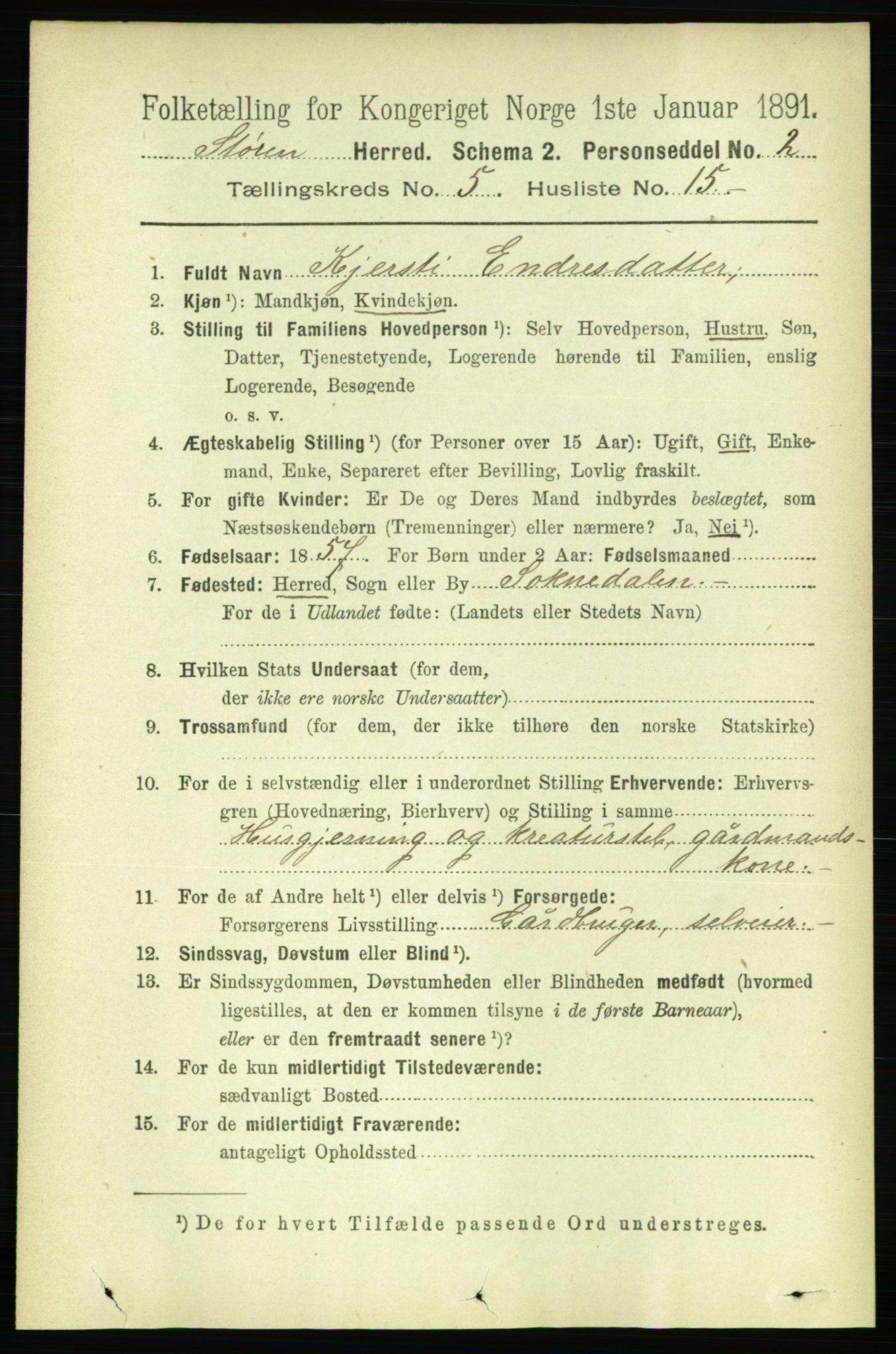 RA, 1891 census for 1648 Støren, 1891, p. 2021