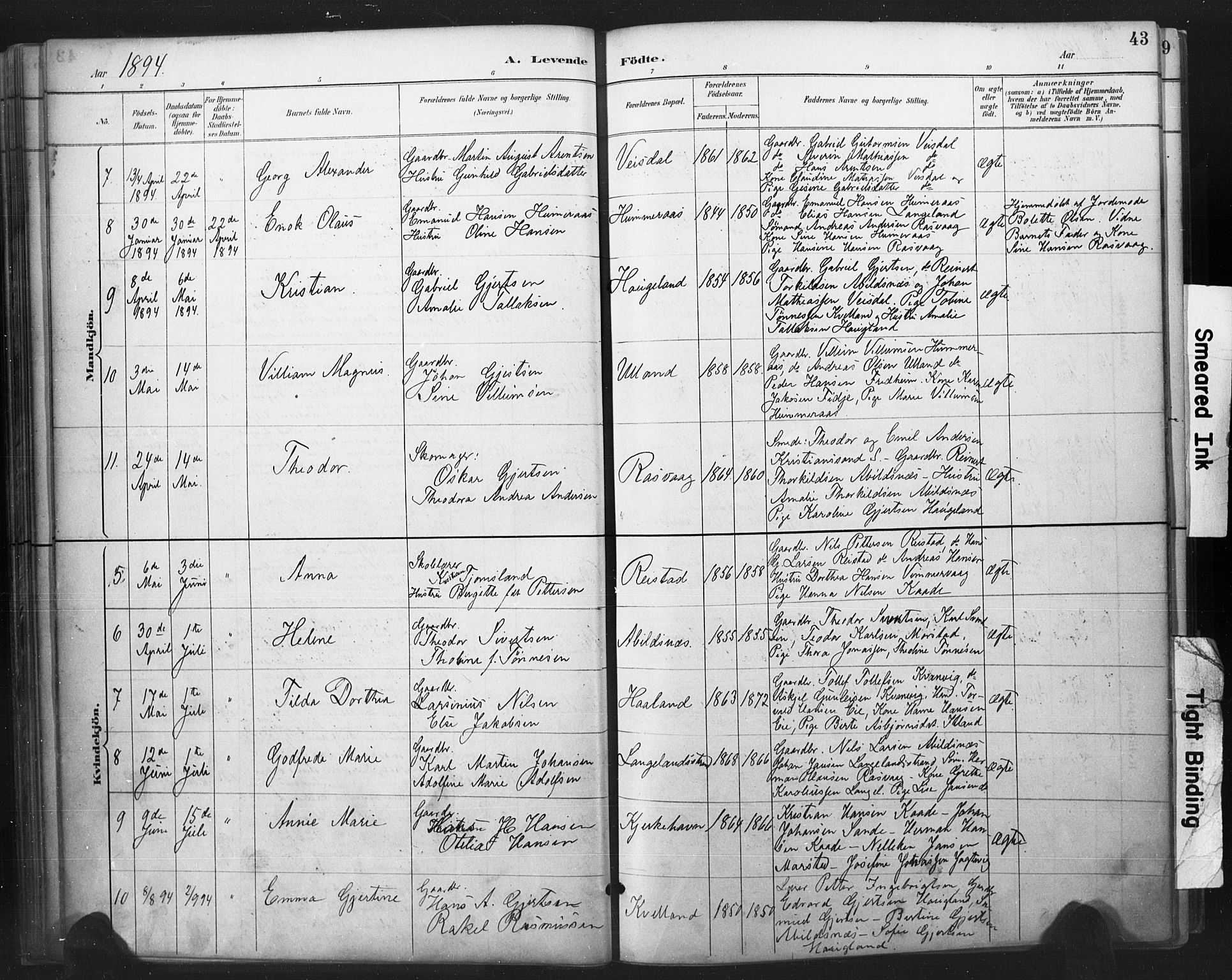 Flekkefjord sokneprestkontor, AV/SAK-1111-0012/F/Fa/Fab/L0006: Parish register (official) no. A 6, 1886-1901, p. 43