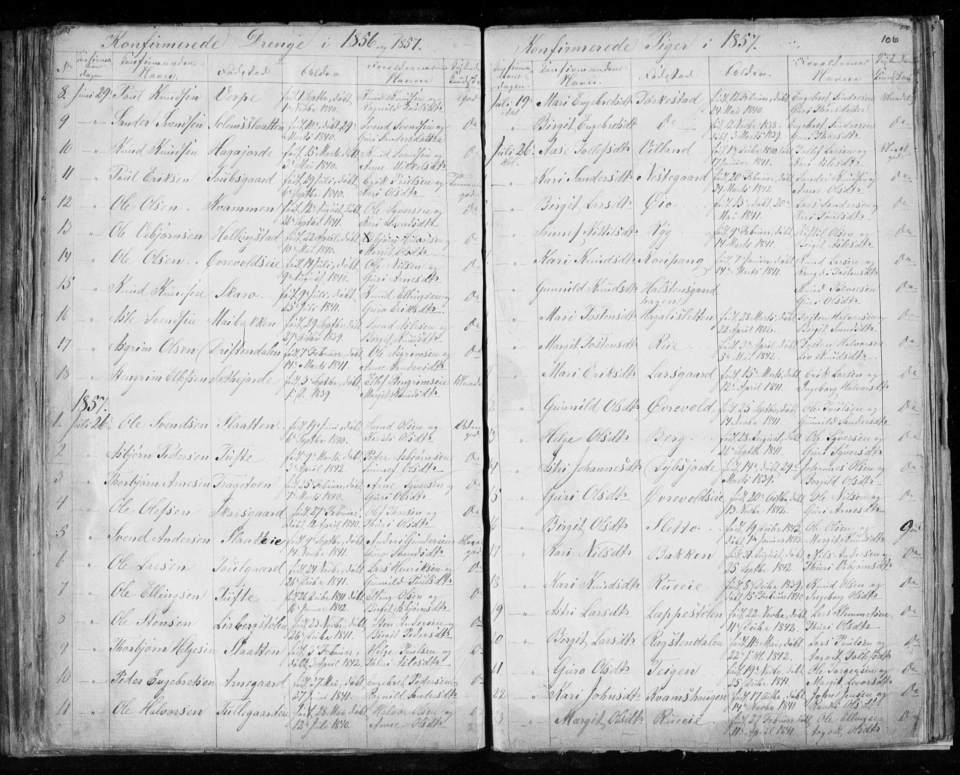 Hol kirkebøker, SAKO/A-227/F/Fa/L0001: Parish register (official) no. I 1, 1850-1870, p. 105-106
