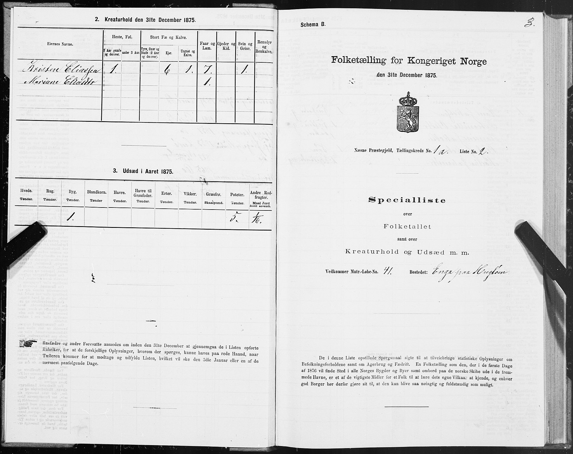 SAT, 1875 census for 1828P Nesna, 1875, p. 1003