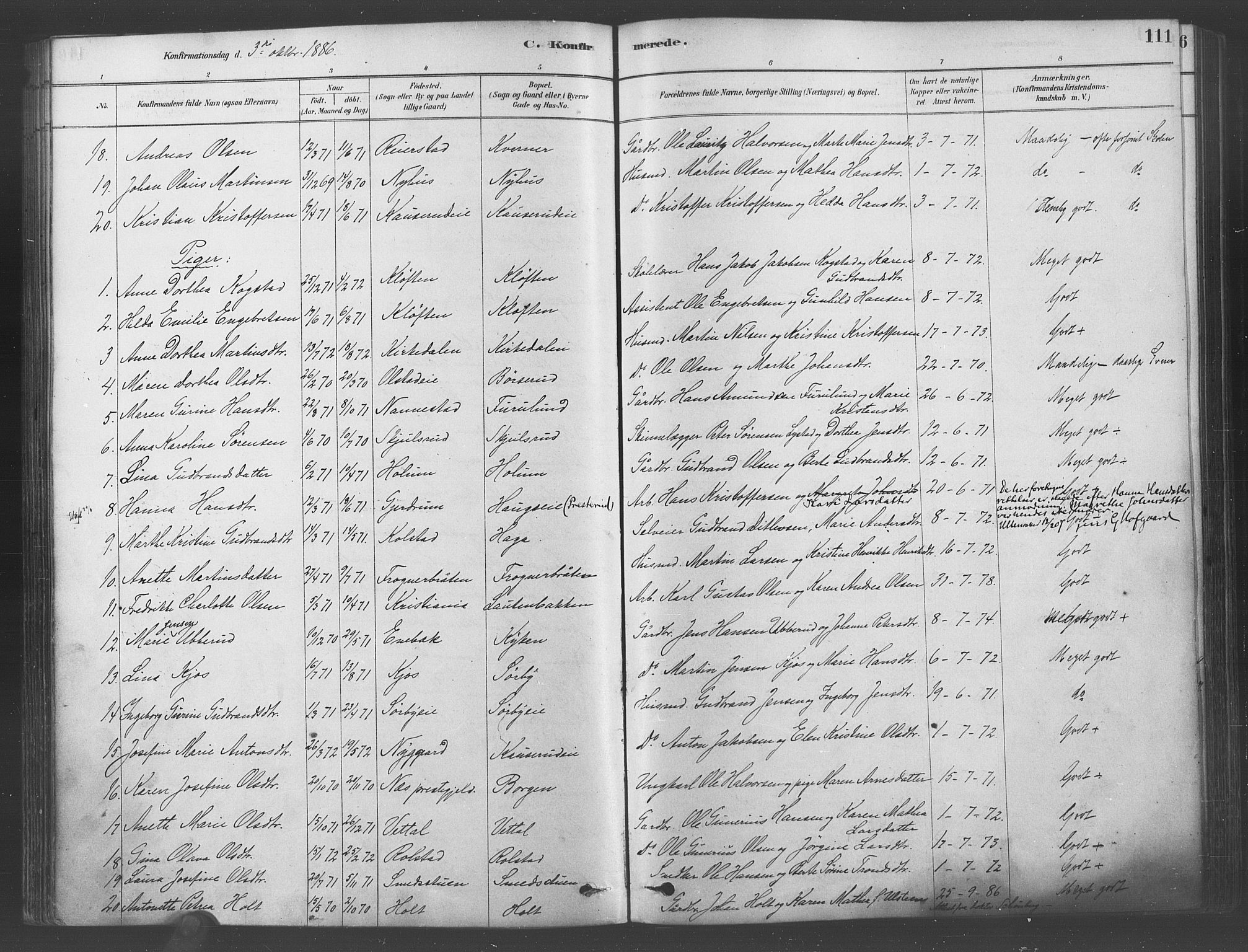 Ullensaker prestekontor Kirkebøker, SAO/A-10236a/F/Fa/L0019: Parish register (official) no. I 19, 1878-1891, p. 111