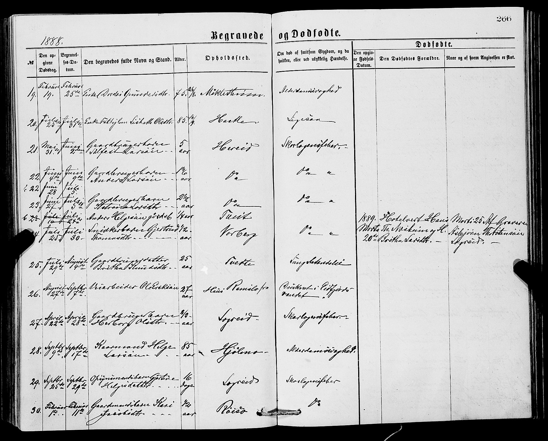 Ullensvang sokneprestembete, SAB/A-78701/H/Hab: Parish register (copy) no. C 2, 1871-1899, p. 266