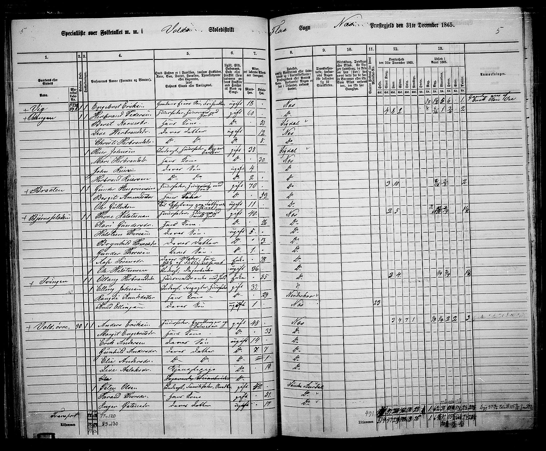 RA, 1865 census for Nes, 1865, p. 61