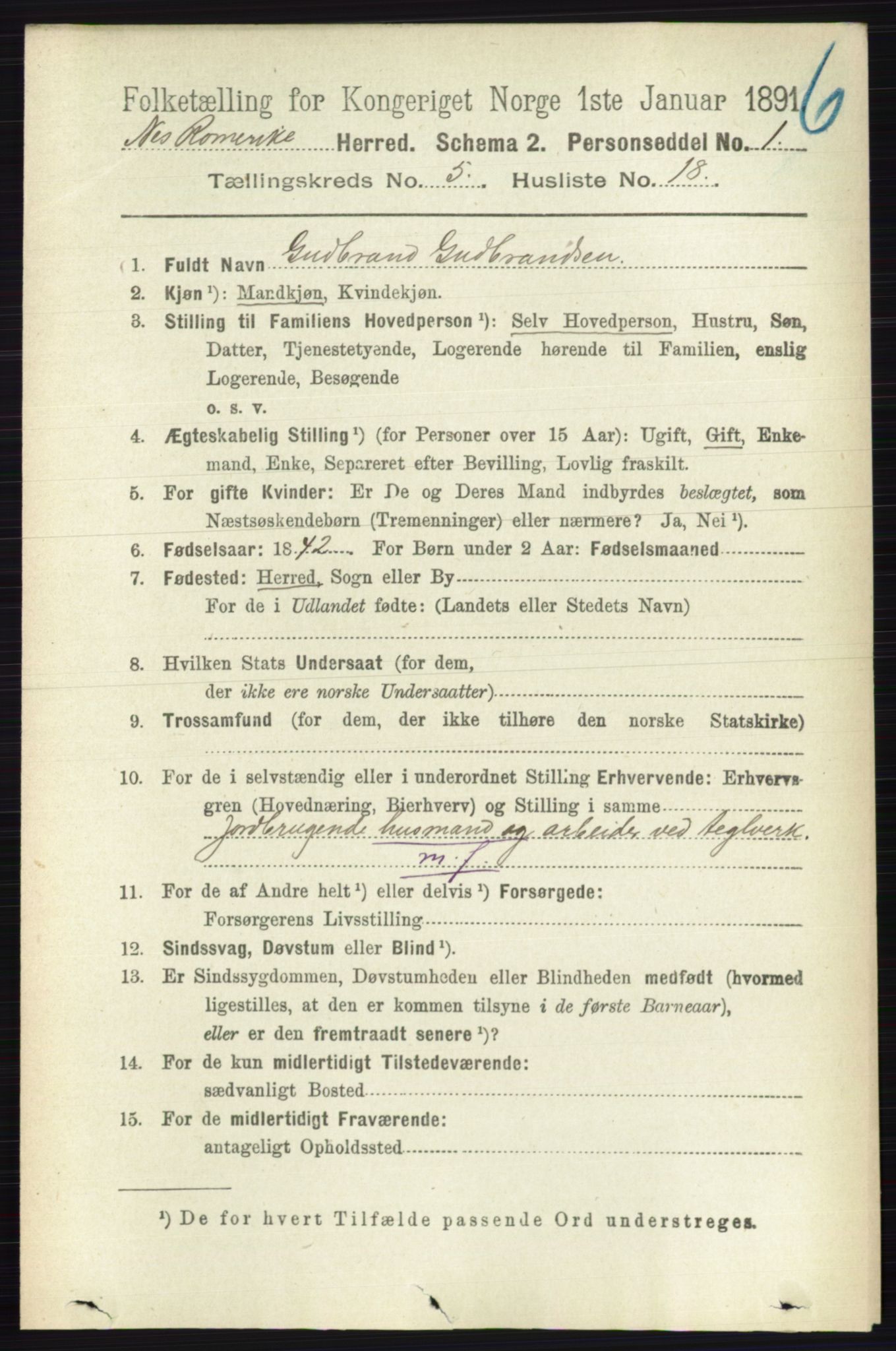RA, 1891 census for 0236 Nes, 1891, p. 2889