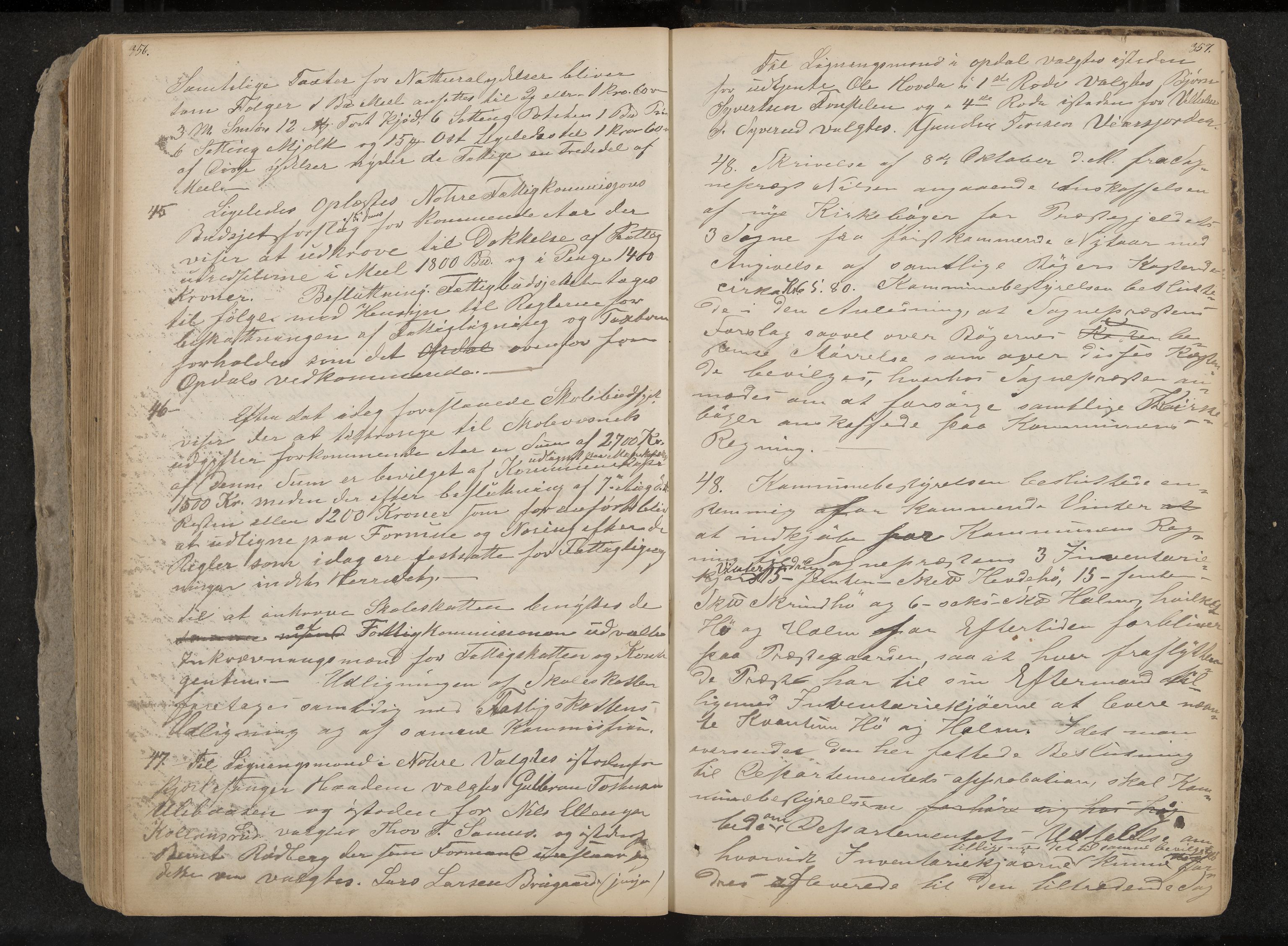 Nore og Uvdal formannskap, IKAK/0633021-1/A/L0001: Møtebok, 1859-1882, p. 356-357