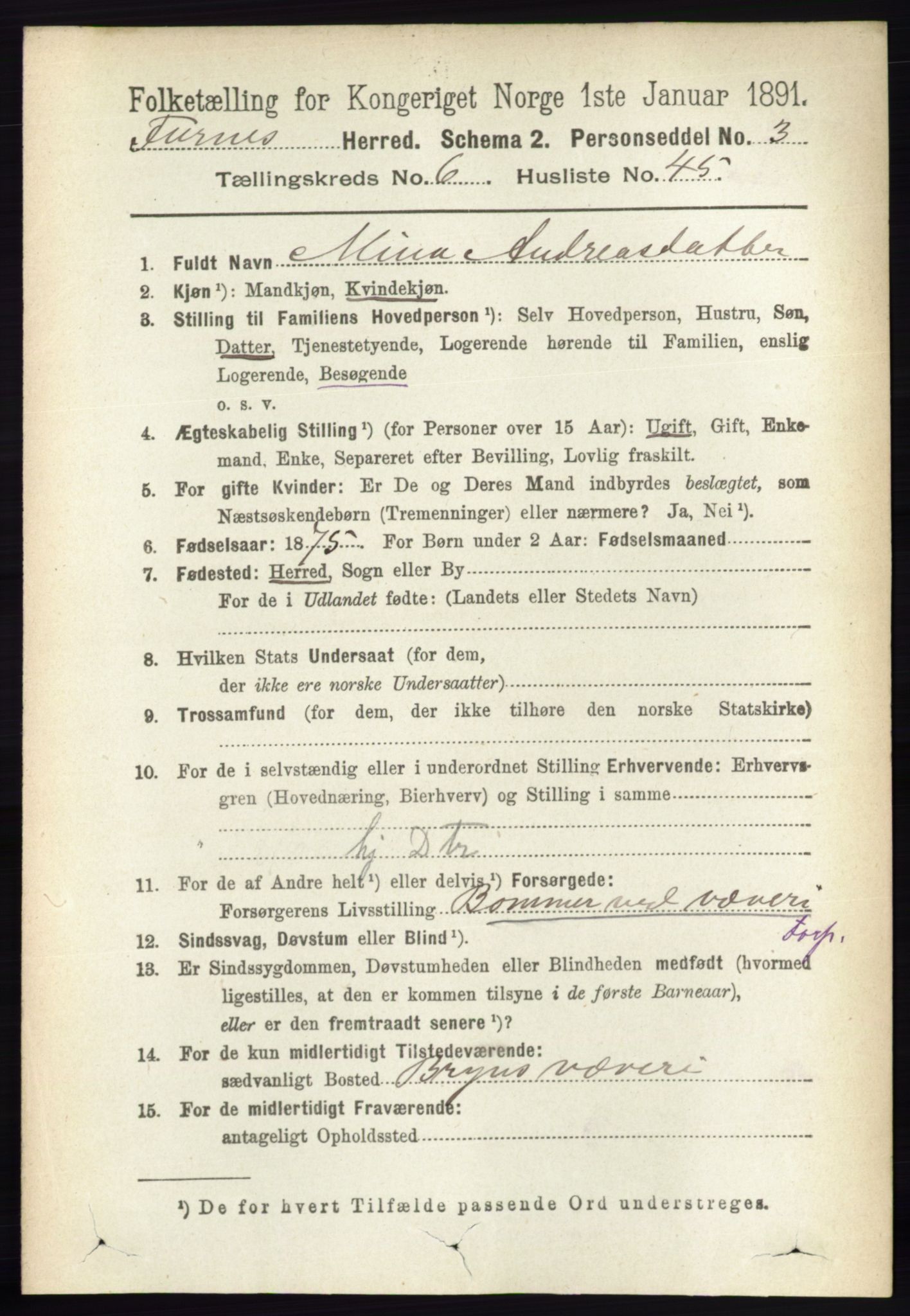 RA, Census 1891 for 0413 Furnes herred, 1891, p. 4331