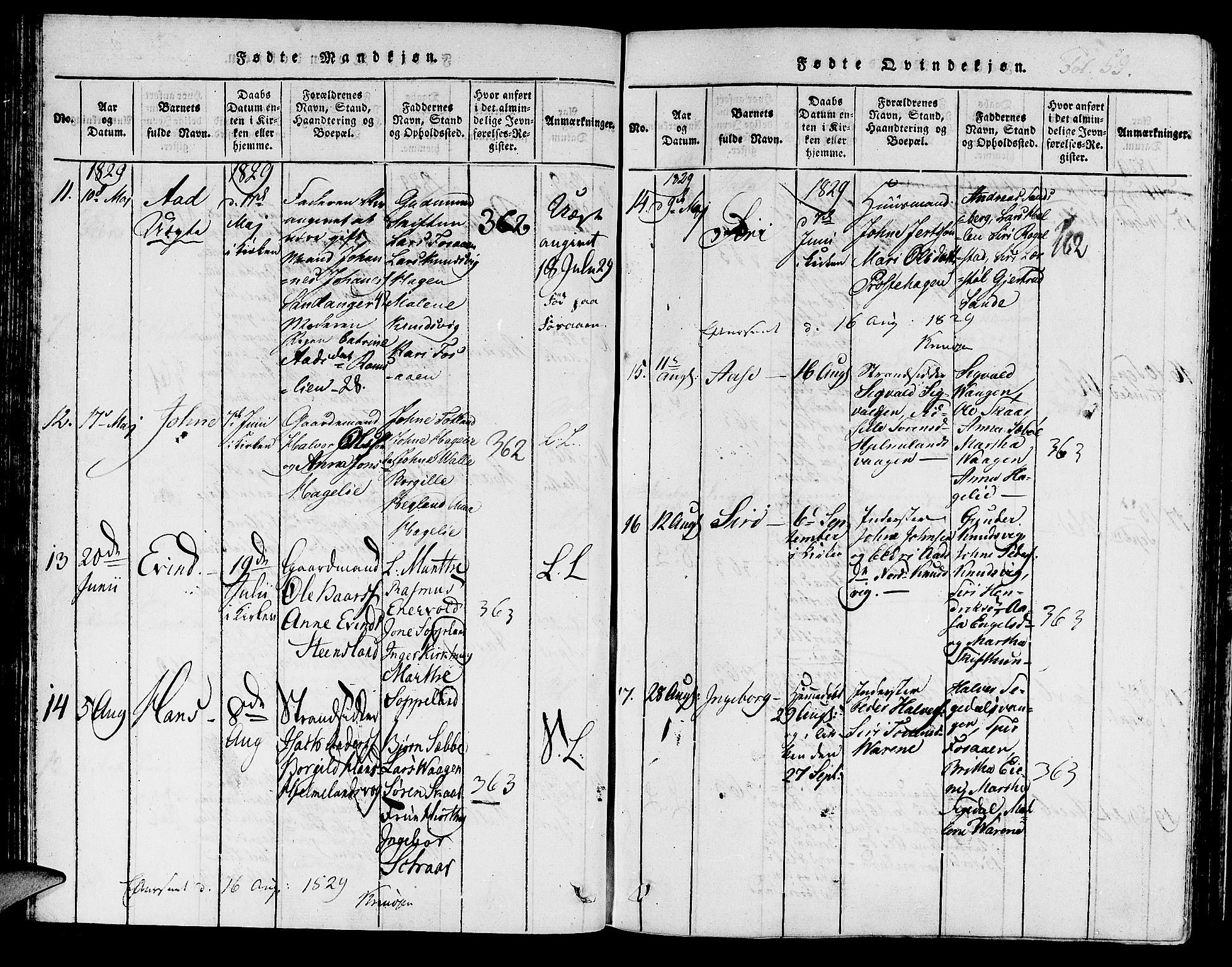 Hjelmeland sokneprestkontor, AV/SAST-A-101843/01/IV/L0003: Parish register (official) no. A 3, 1816-1834, p. 59