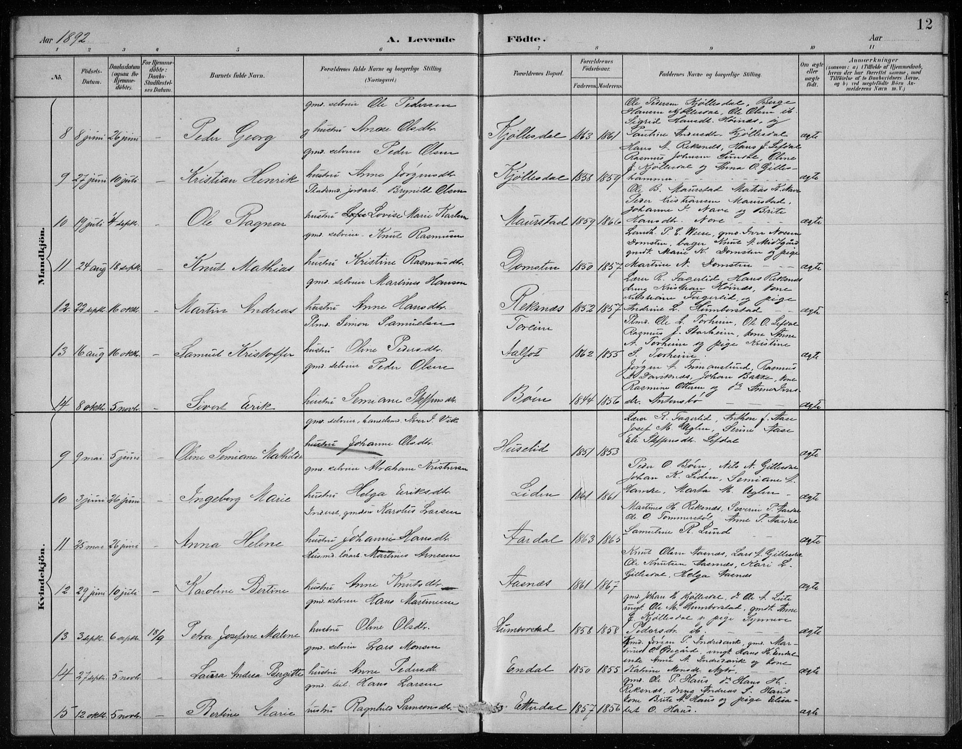 Davik sokneprestembete, AV/SAB-A-79701/H/Hab/Haba/L0002: Parish register (copy) no. A 2, 1890-1911, p. 12