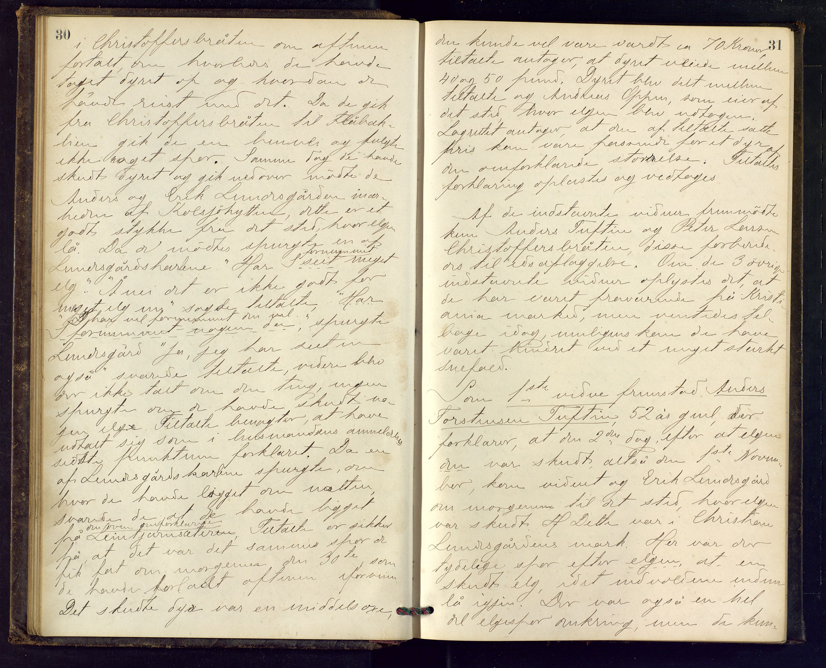 Ringerike sorenskriveri, AV/SAKO-A-105/F/Fc/Fca/L0017: Ekstrarettsprotokoll, 1880-1882, p. 30-31