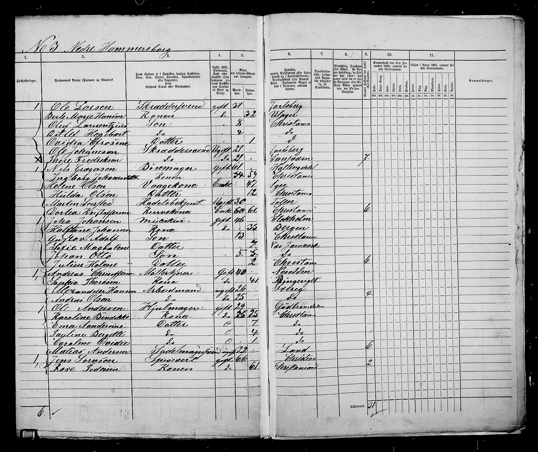 RA, 1865 census for Kristiania, 1865, p. 2262