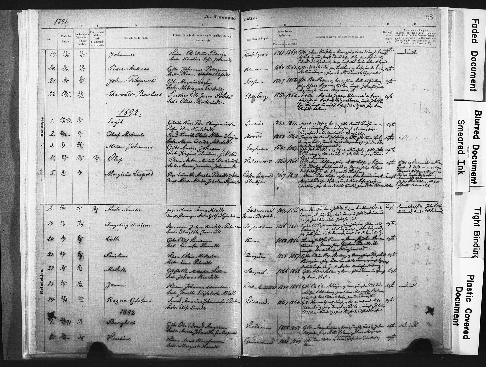 Ministerialprotokoller, klokkerbøker og fødselsregistre - Nord-Trøndelag, AV/SAT-A-1458/721/L0207: Parish register (official) no. 721A02, 1880-1911, p. 38