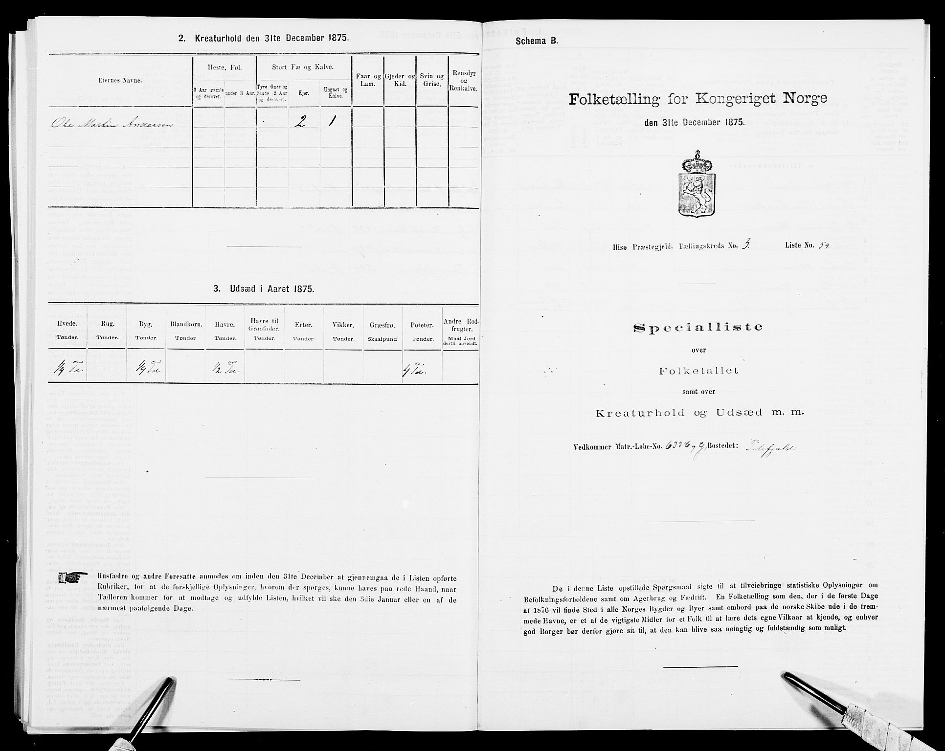 SAK, 1875 census for 0922P Hisøy, 1875, p. 597