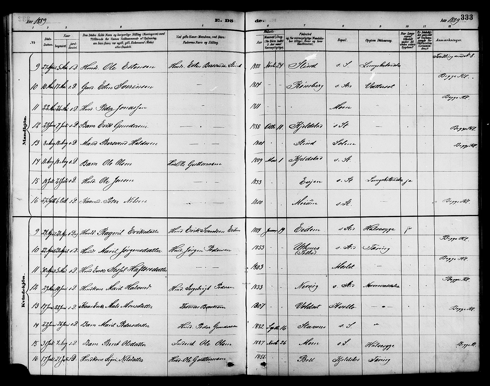 Ministerialprotokoller, klokkerbøker og fødselsregistre - Sør-Trøndelag, SAT/A-1456/695/L1157: Parish register (copy) no. 695C08, 1889-1913, p. 333