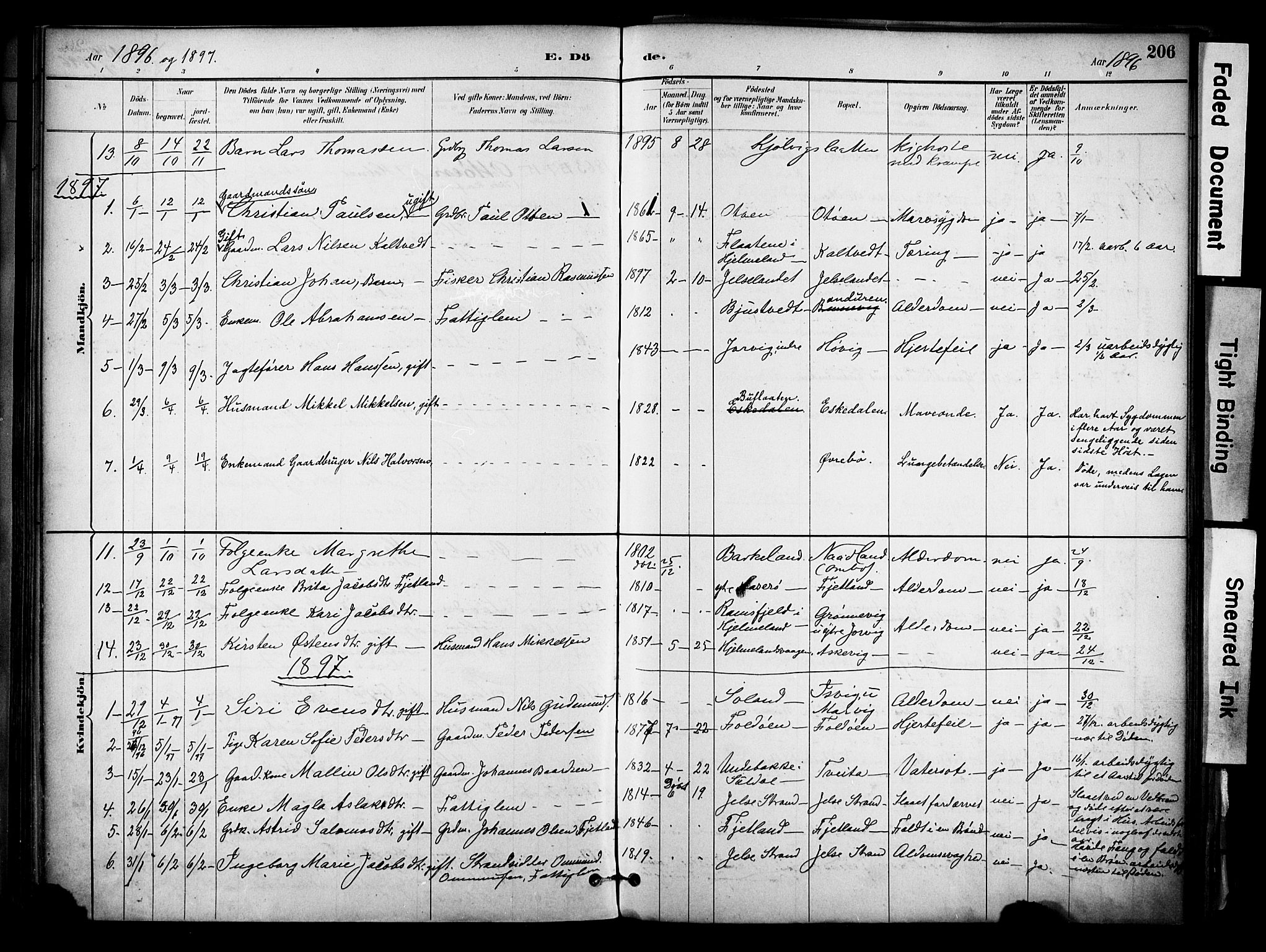 Jelsa sokneprestkontor, SAST/A-101842/01/IV: Parish register (official) no. A 10, 1884-1906, p. 206