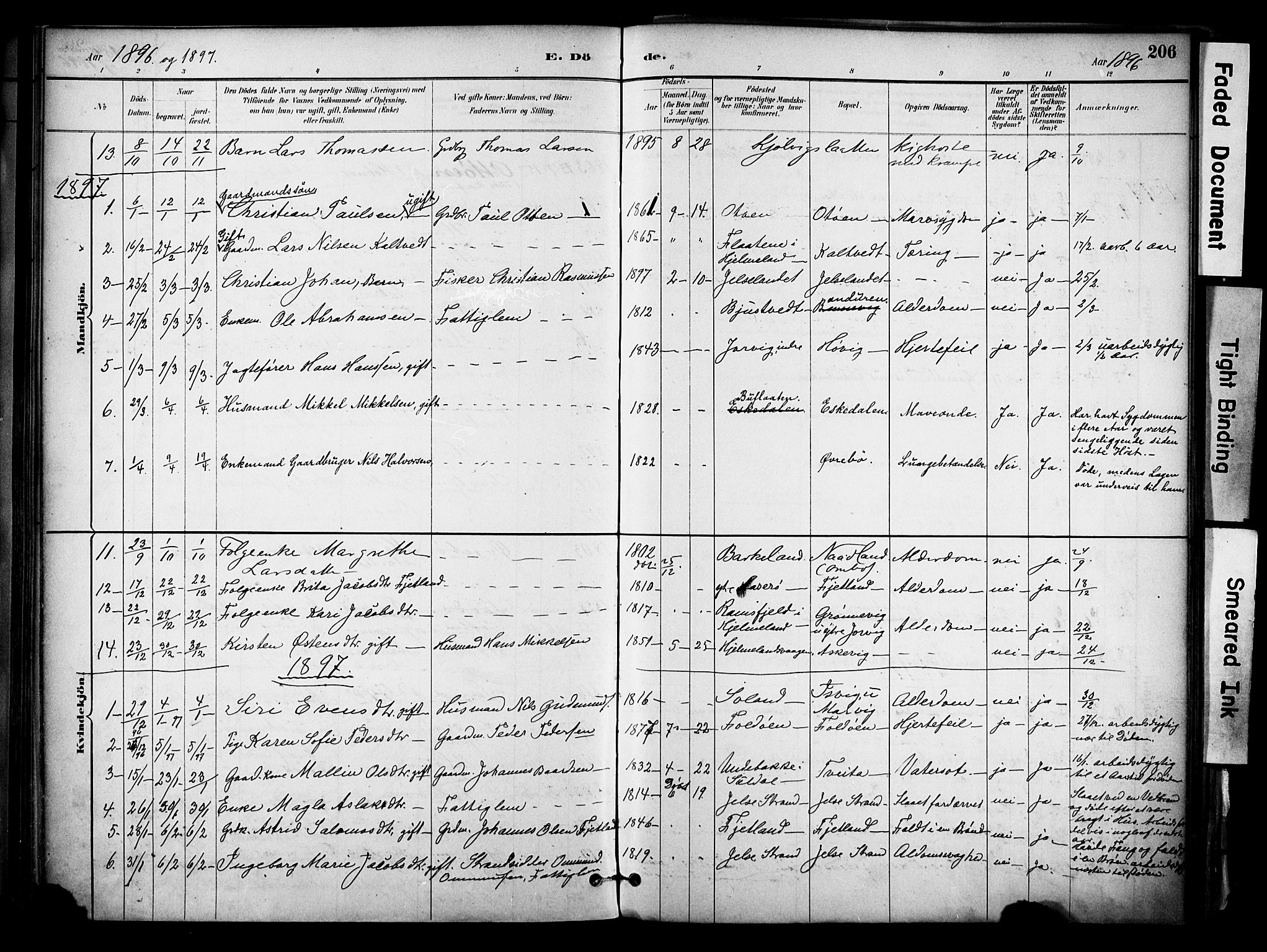 Jelsa sokneprestkontor, AV/SAST-A-101842/01/IV: Parish register (official) no. A 10, 1884-1906, p. 206