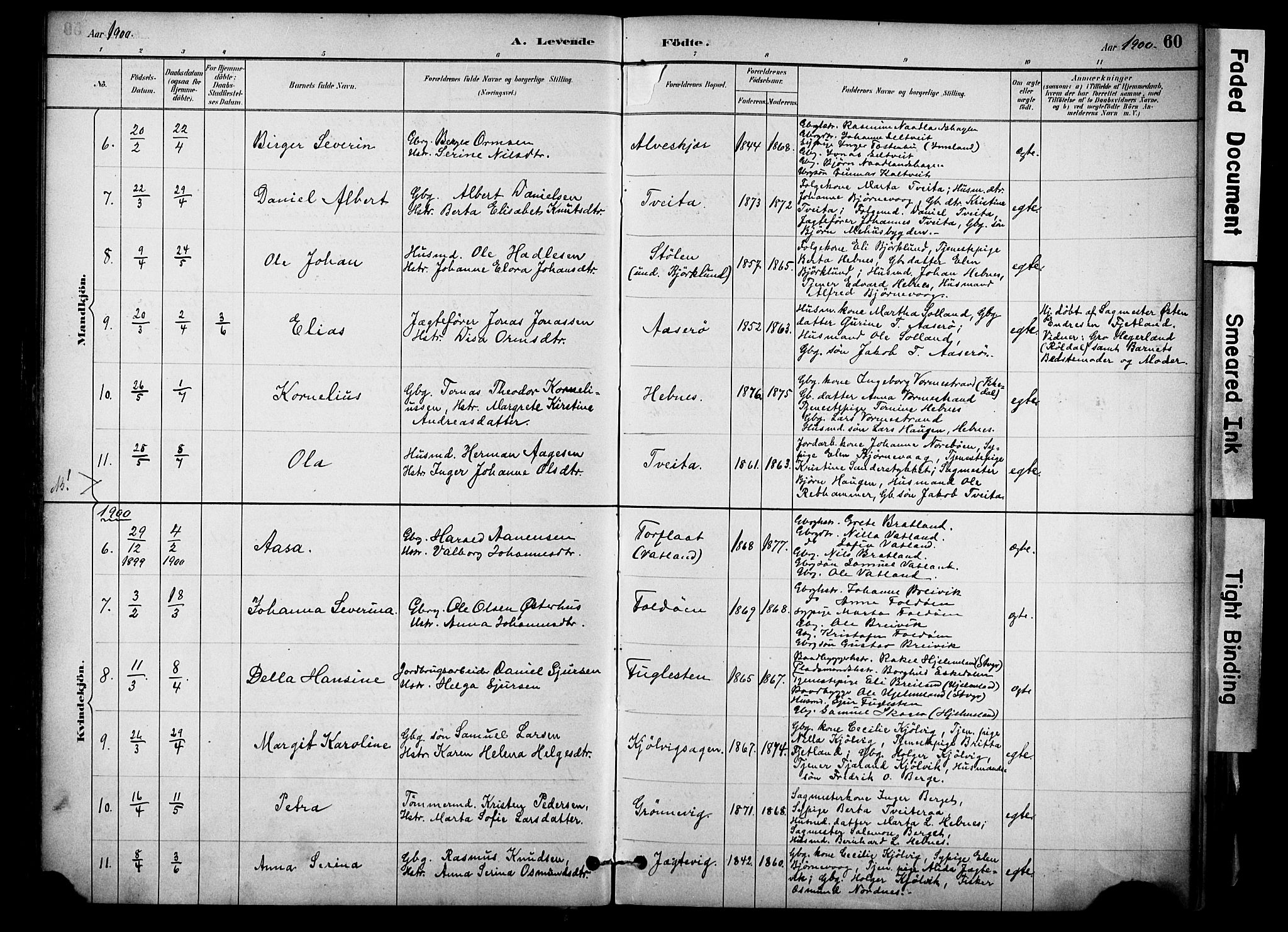 Jelsa sokneprestkontor, AV/SAST-A-101842/01/IV: Parish register (official) no. A 10, 1884-1906, p. 60