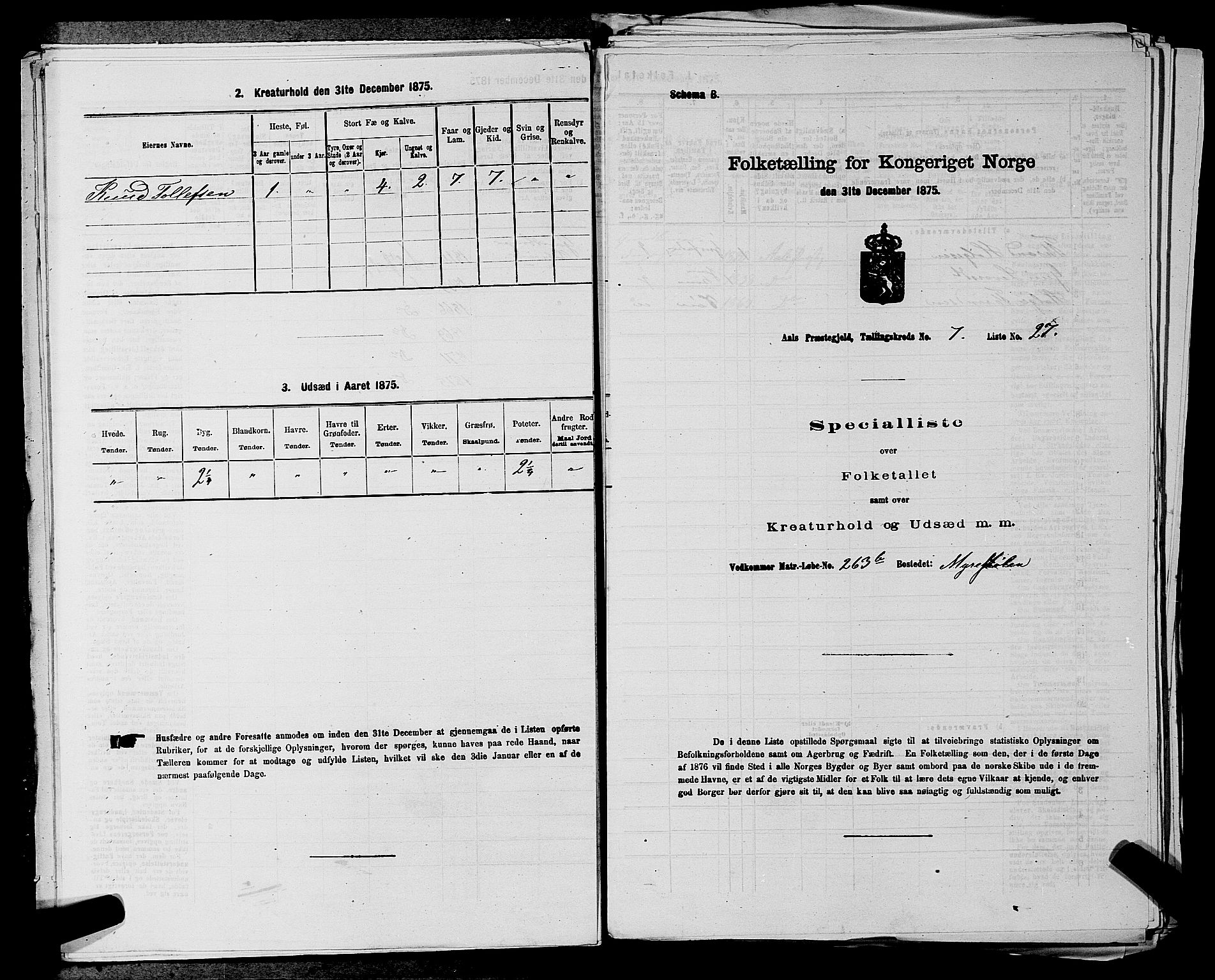 SAKO, 1875 census for 0619P Ål, 1875, p. 890