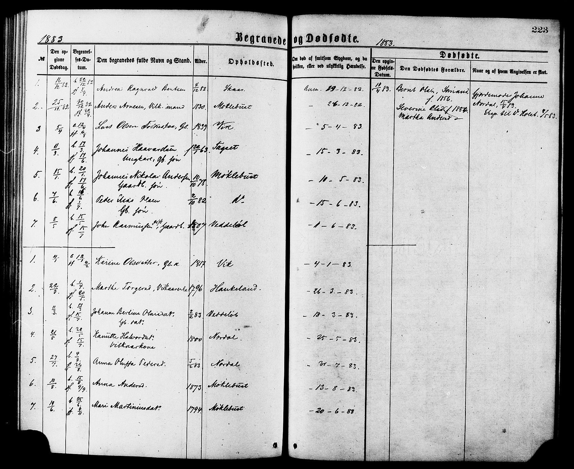 Ministerialprotokoller, klokkerbøker og fødselsregistre - Møre og Romsdal, AV/SAT-A-1454/502/L0024: Parish register (official) no. 502A02, 1873-1884, p. 223