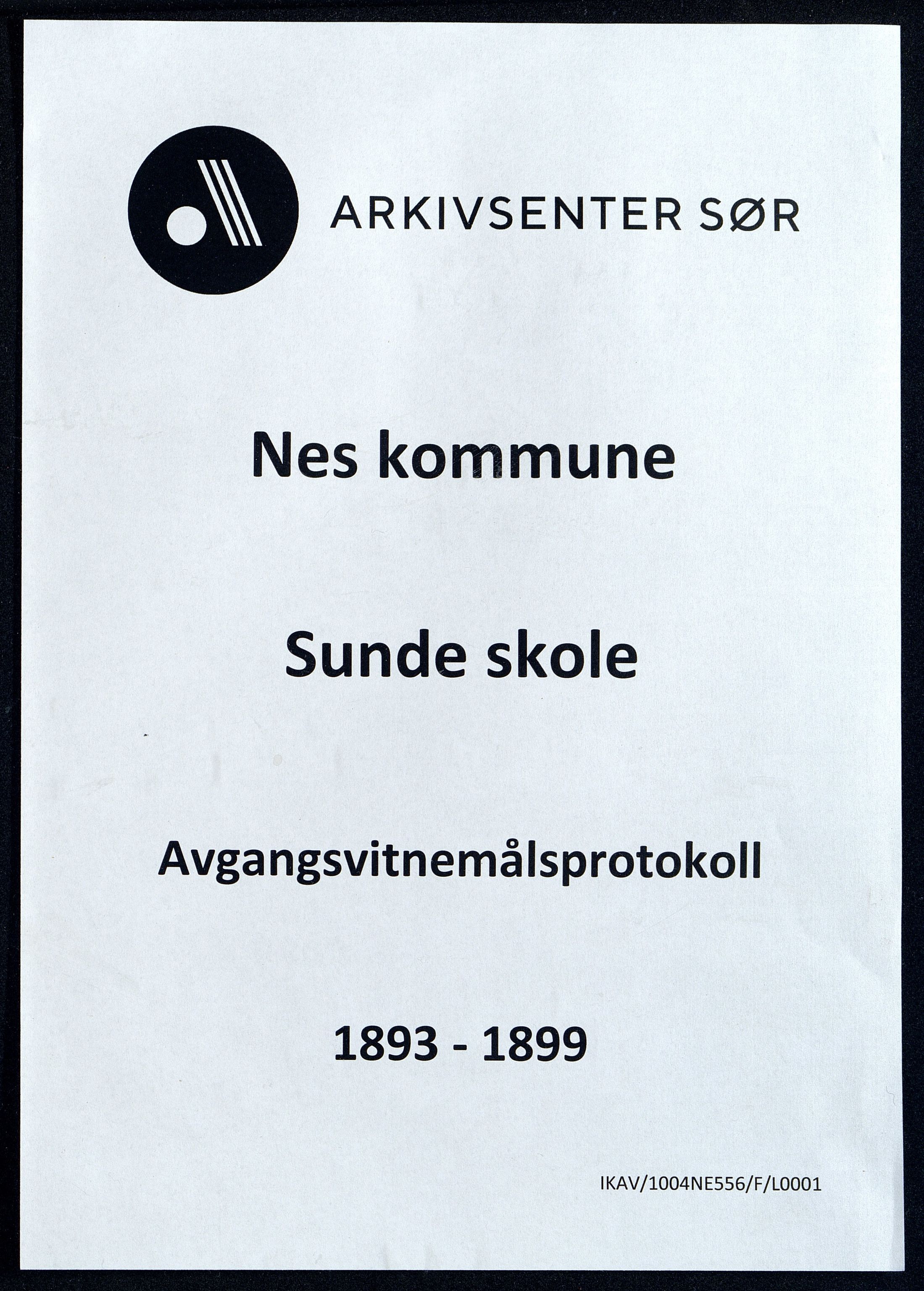 Nes kommune - Sunde Skole, ARKSOR/1004NE556/F/L0001: Avgangsvitnemålsprotokoll, 1893-1899