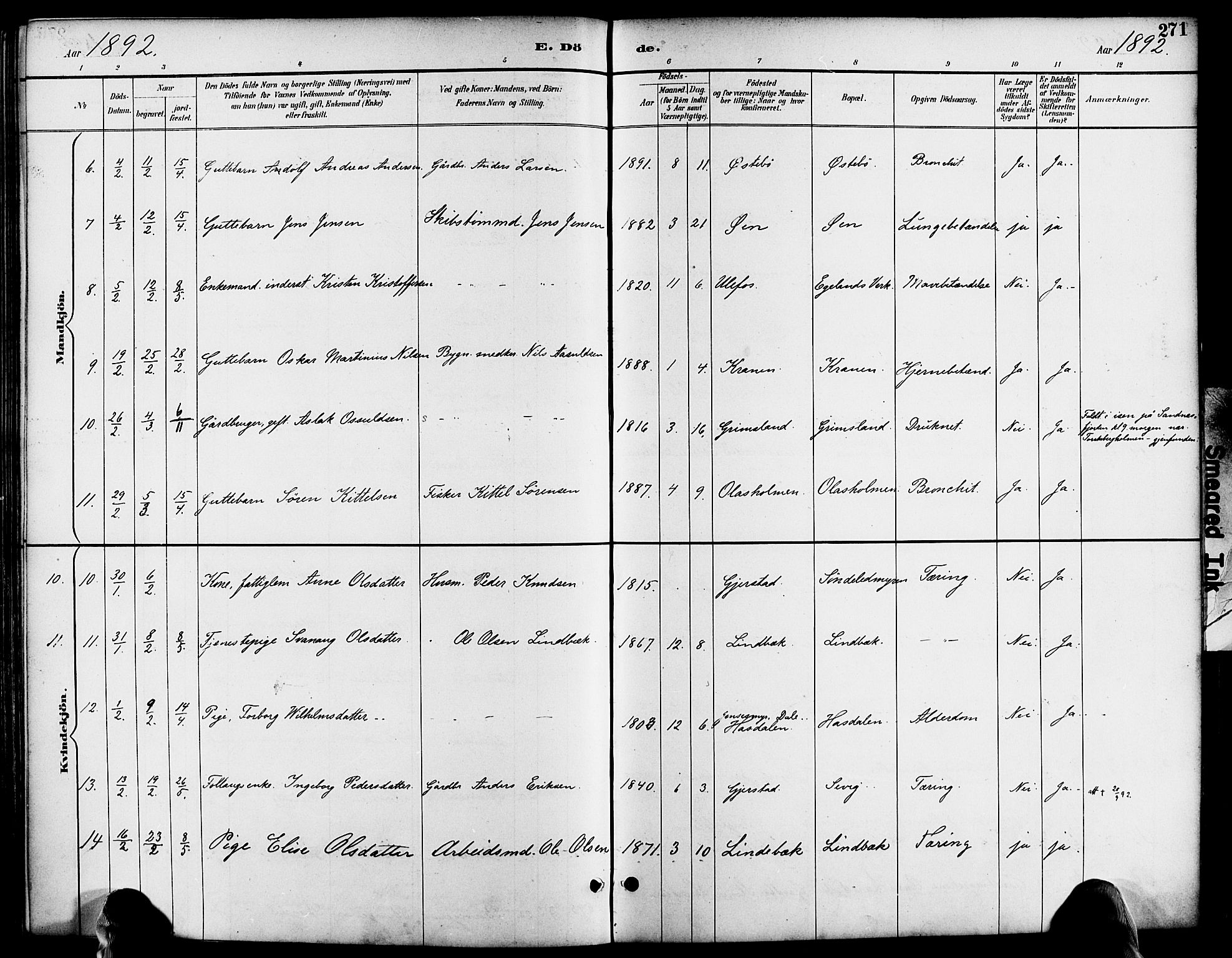 Søndeled sokneprestkontor, AV/SAK-1111-0038/F/Fa/L0005: Parish register (official) no. A 5, 1889-1899, p. 271