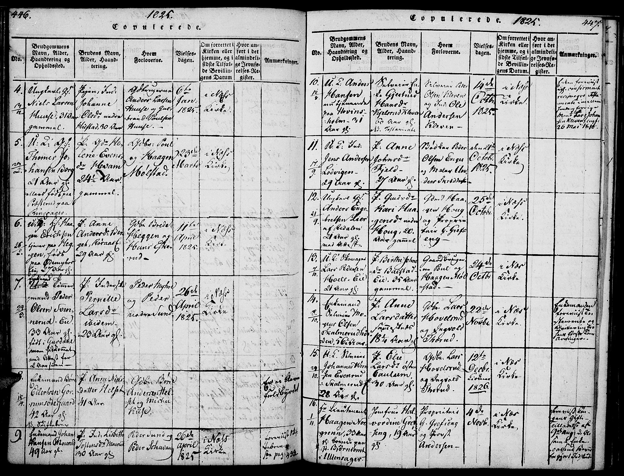 Nes prestekontor, Hedmark, SAH/PREST-020/K/Ka/L0002: Parish register (official) no. 2, 1813-1827, p. 446-447