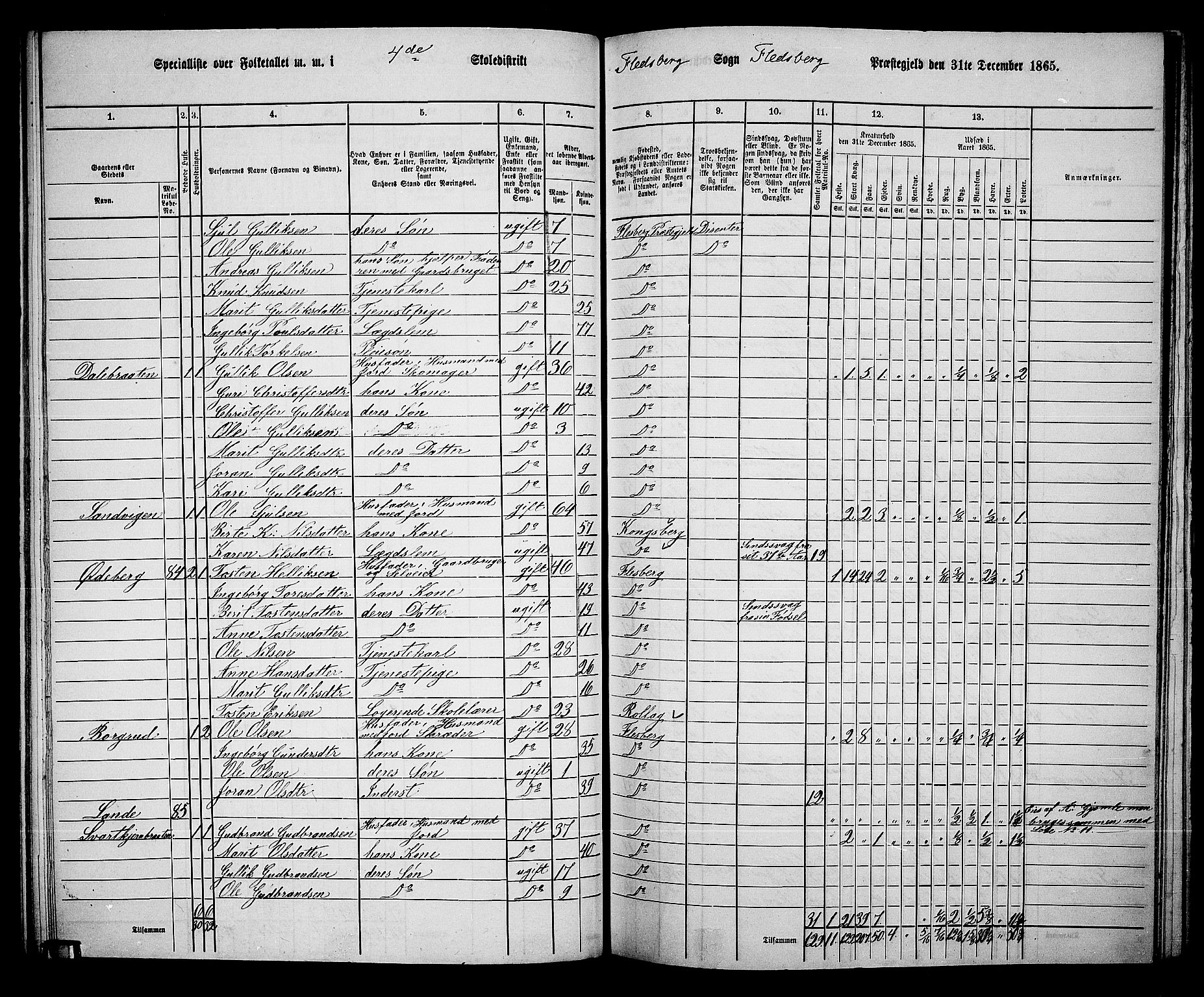 RA, 1865 census for Flesberg, 1865, p. 82