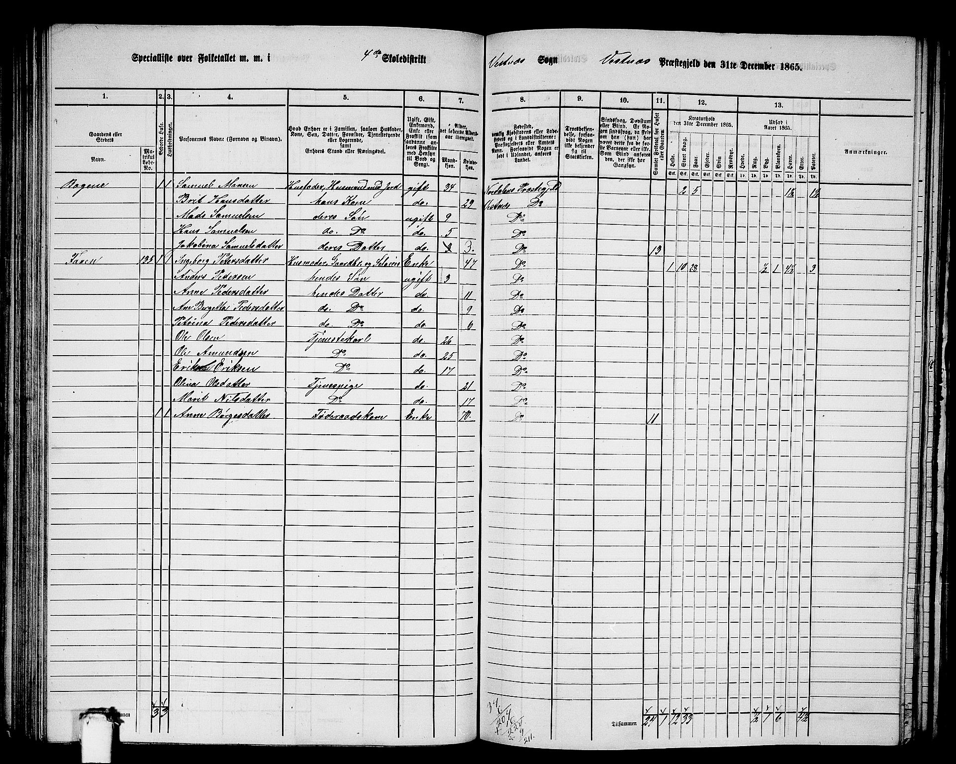 RA, 1865 census for Vestnes, 1865, p. 100