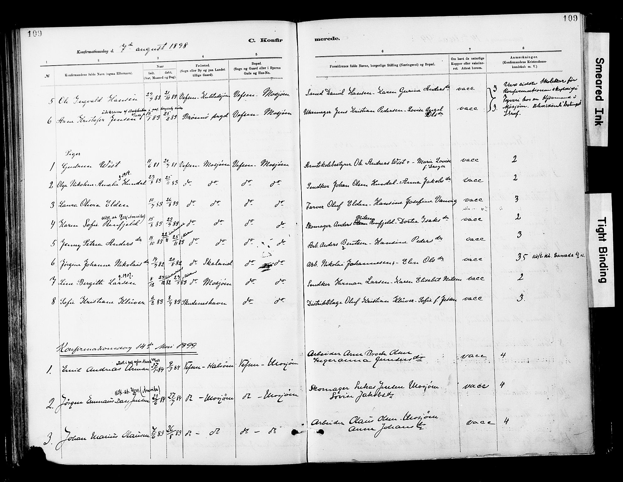 Ministerialprotokoller, klokkerbøker og fødselsregistre - Nordland, AV/SAT-A-1459/820/L0296: Parish register (official) no. 820A17, 1880-1903, p. 109