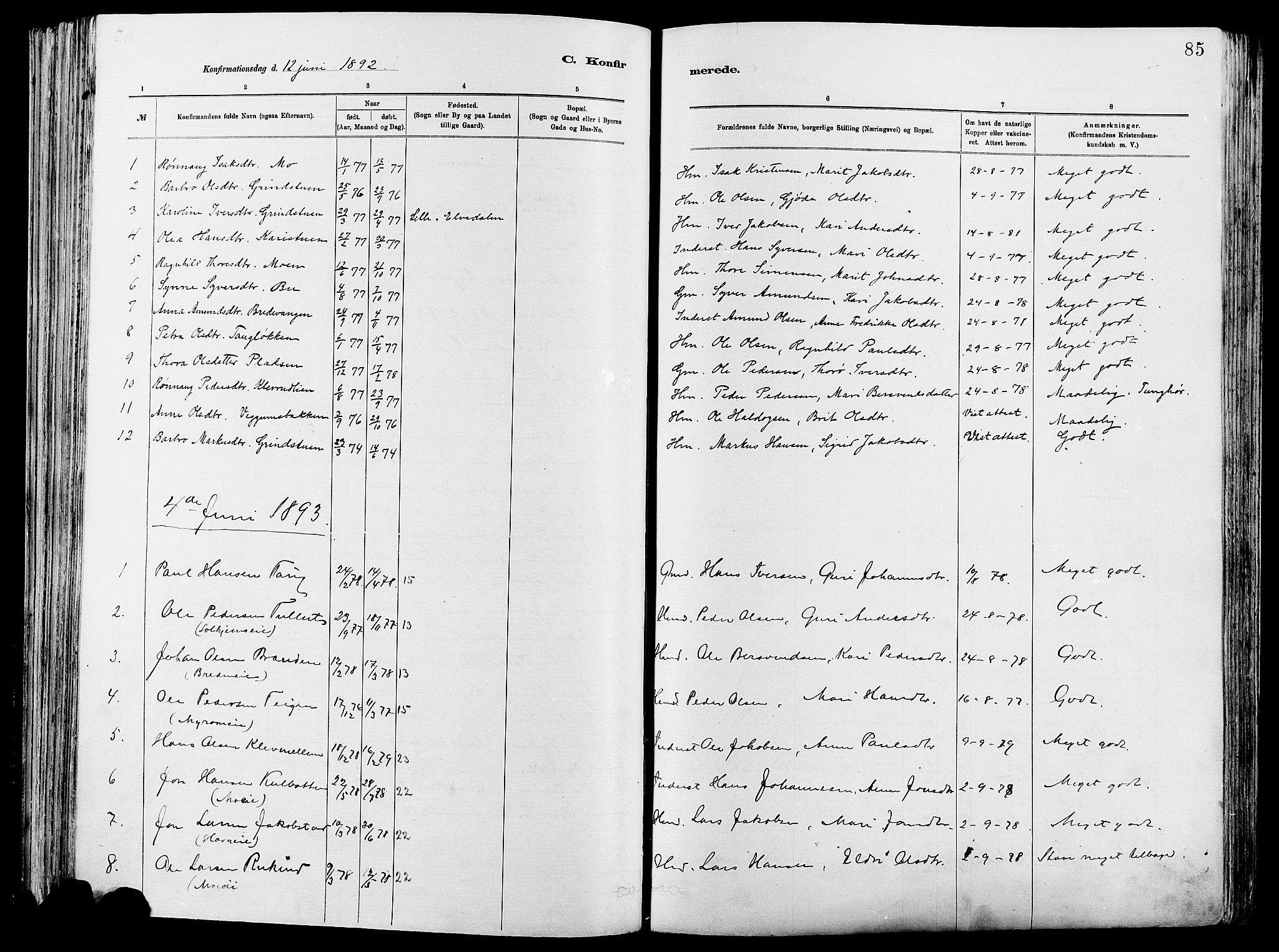 Vågå prestekontor, SAH/PREST-076/H/Ha/Haa/L0008: Parish register (official) no. 8, 1886-1904, p. 85